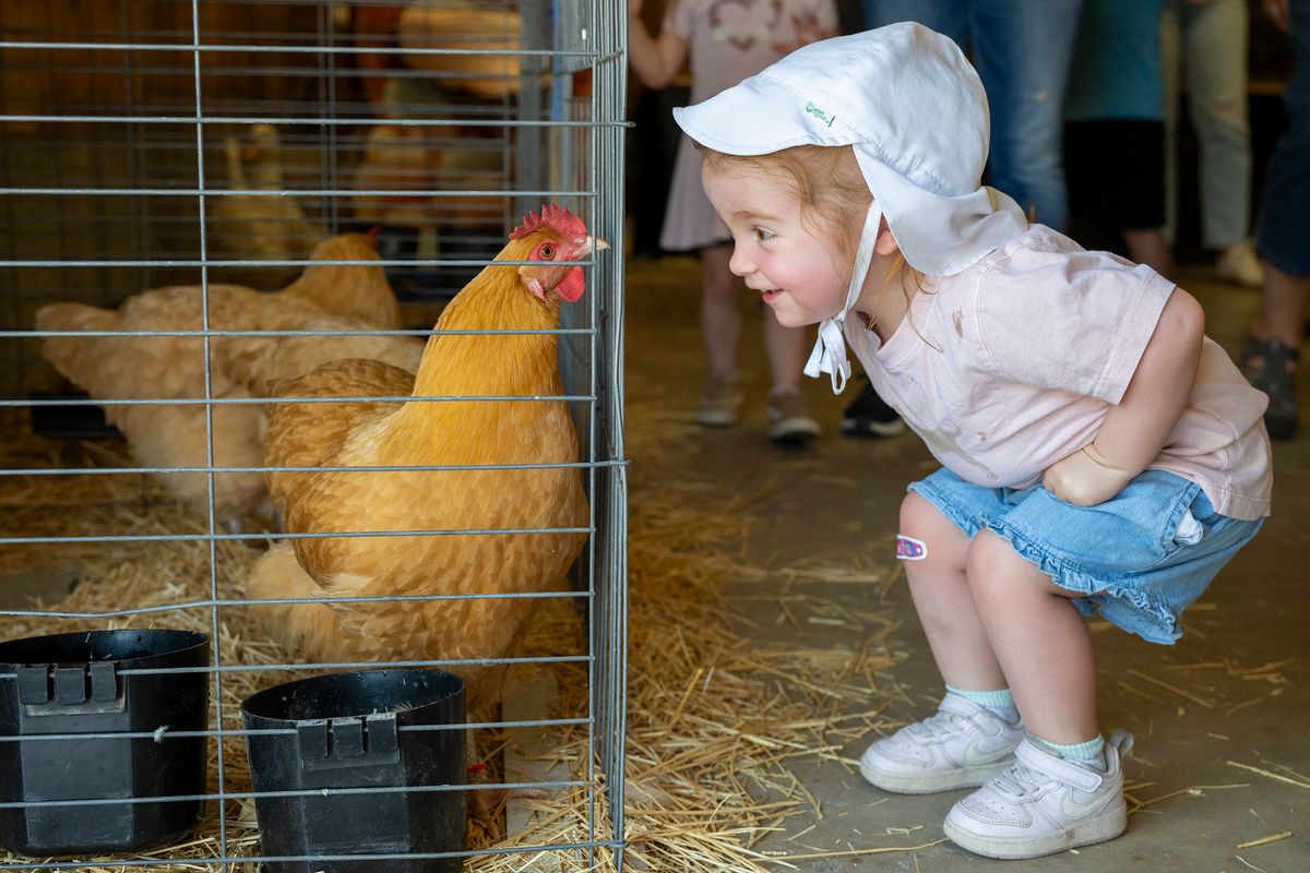 How Do Young Handlers Bond with Animals at the Nez Perce County Fair?