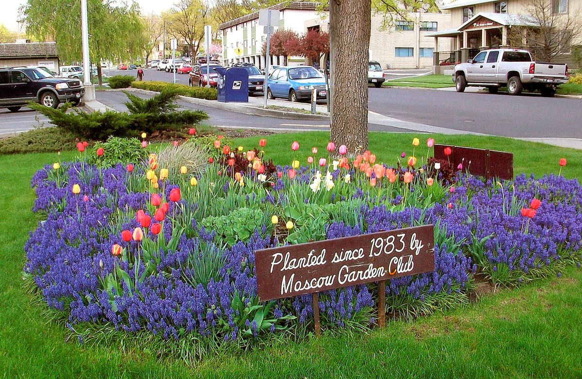 Moscow Garden Club hosts talk by horticulturist David Rauk
