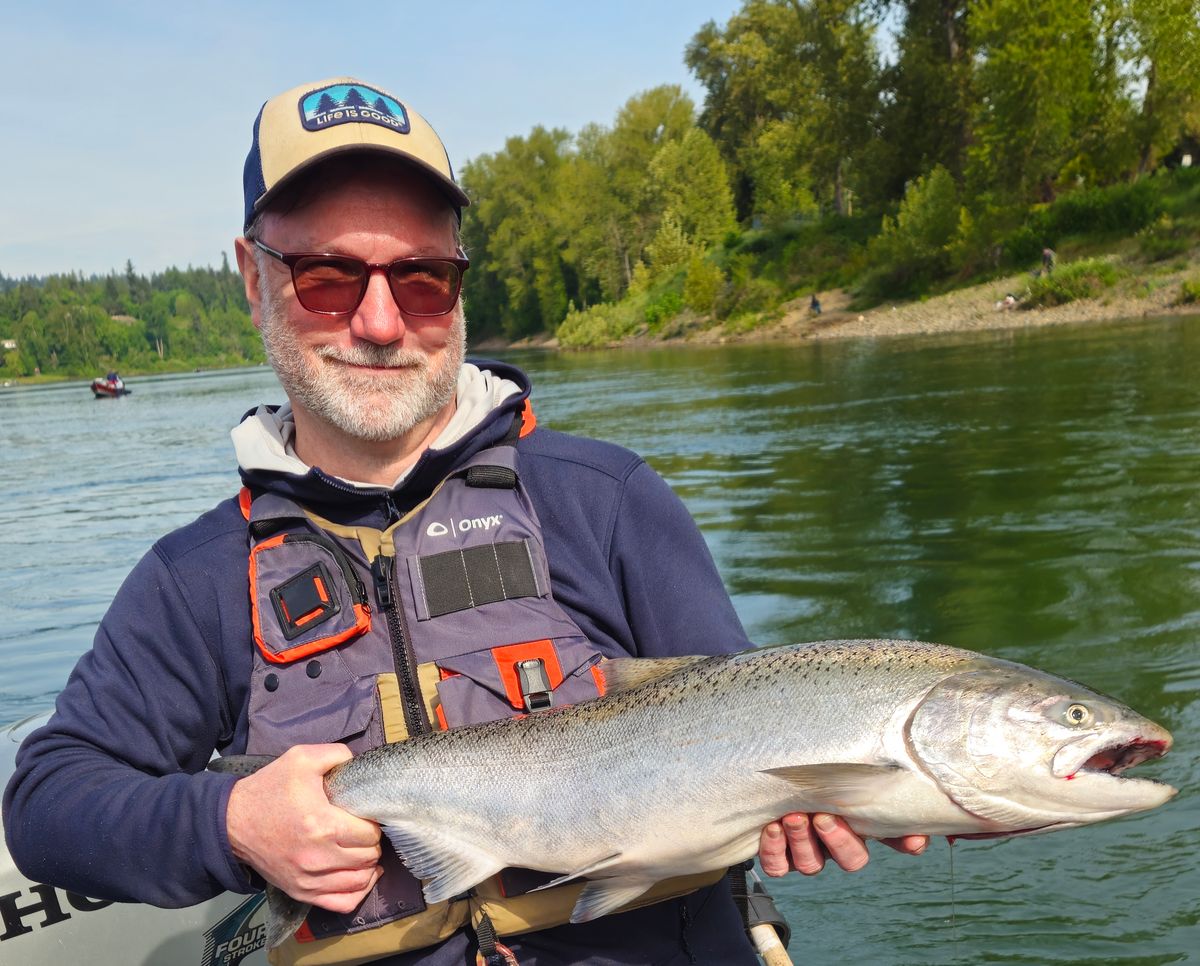 Snake River shad, prawns and walleye, and the ‘invasional meltdown hypothesis'
