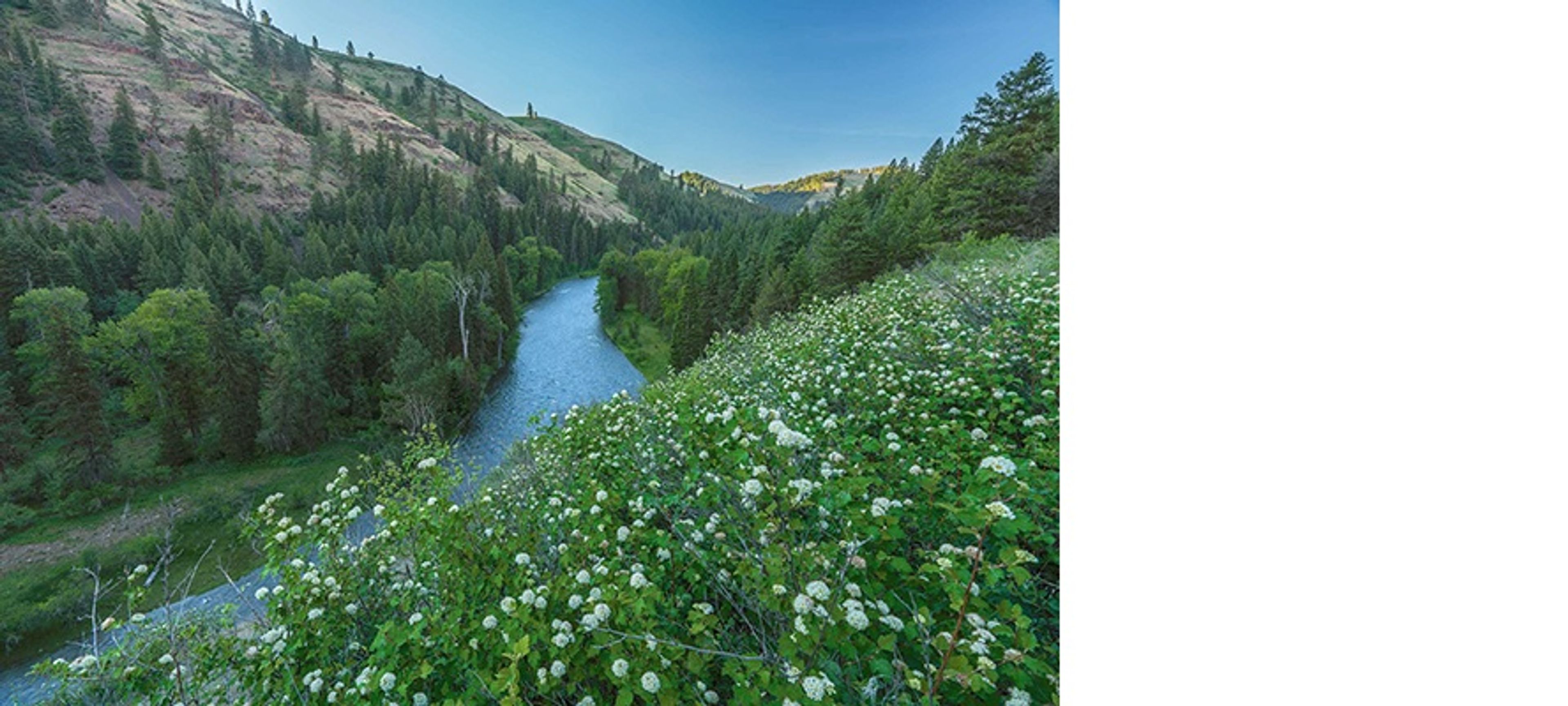 The Oregon Department of Fish and Wildlife and the Rocky Mountain Elk Foundation collaborated to add 1,073 acres to the Minam River Wildlife Area.