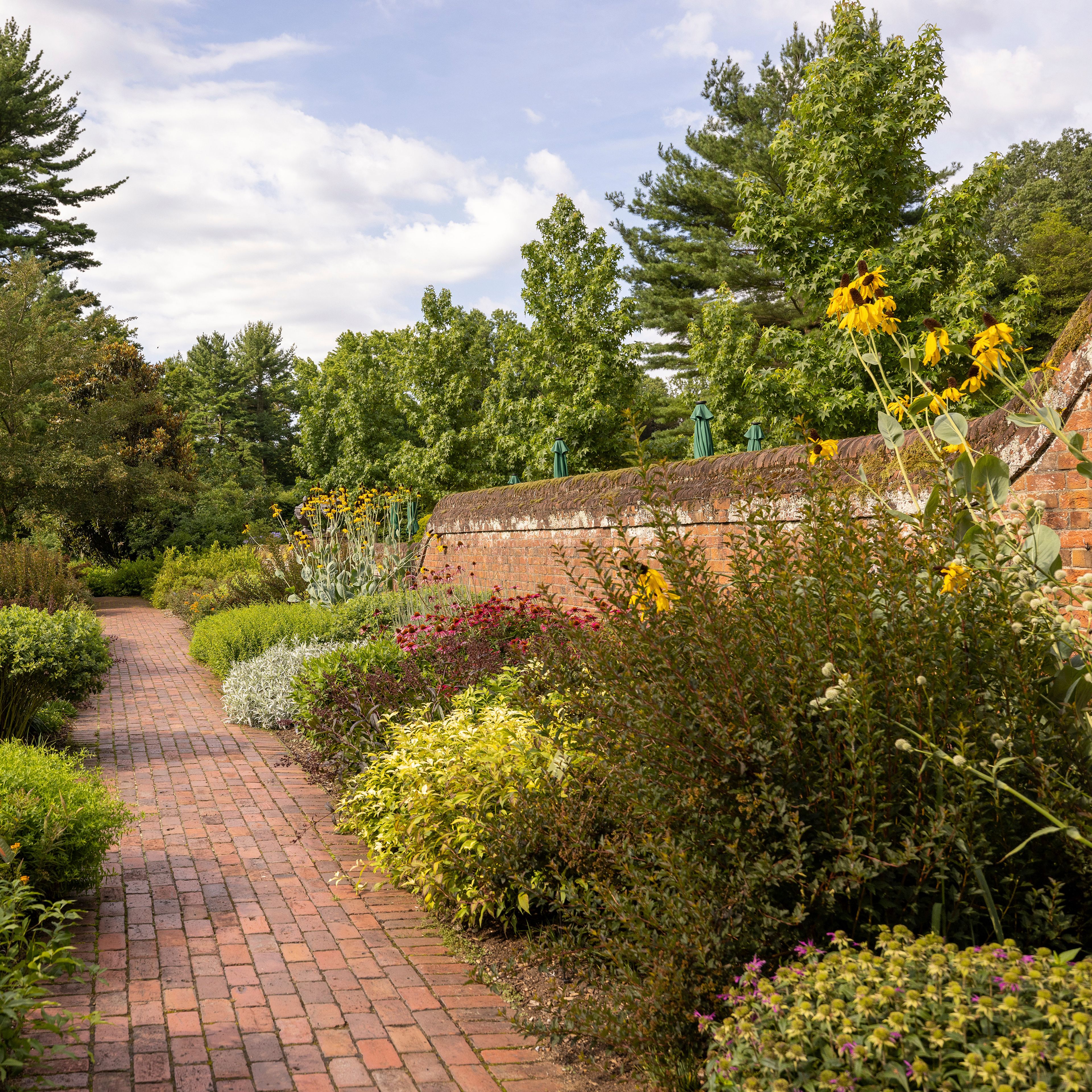 This undated photo provided by Mt. Cuba Center shows formal native plantings, including Asclepias tuberosa, Echinacea purpurea, Liatris, Physocarpus opulifolius and Artemesia ludoviciana, flanking a walkway at Mt. Cuba Center botanical garden in Hockessin, Del.