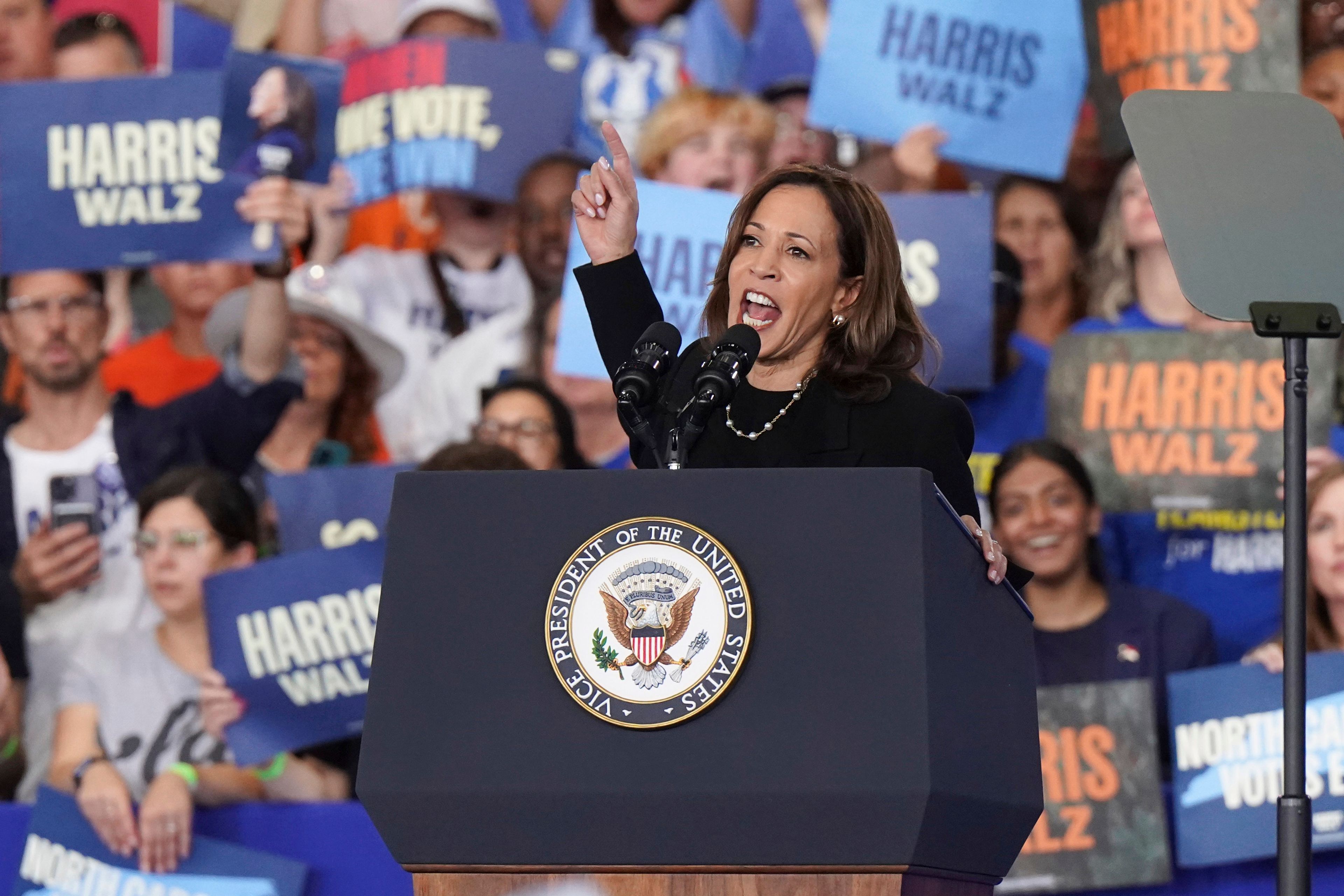 Democratic presidential nominee Vice President Kamala Harris speaks at a campaign rally, Wednesday, Oct. 30, 2024, in Raleigh, N.C. (AP Photo/Allison Joyce)