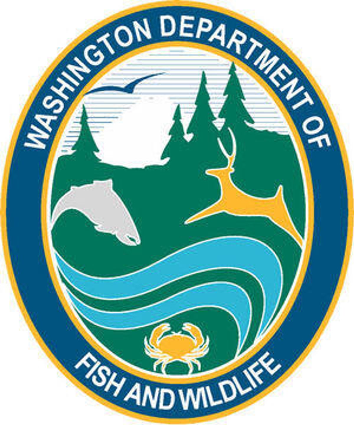 Washington kills one member of Tucannon wolf pack, finds ano...
