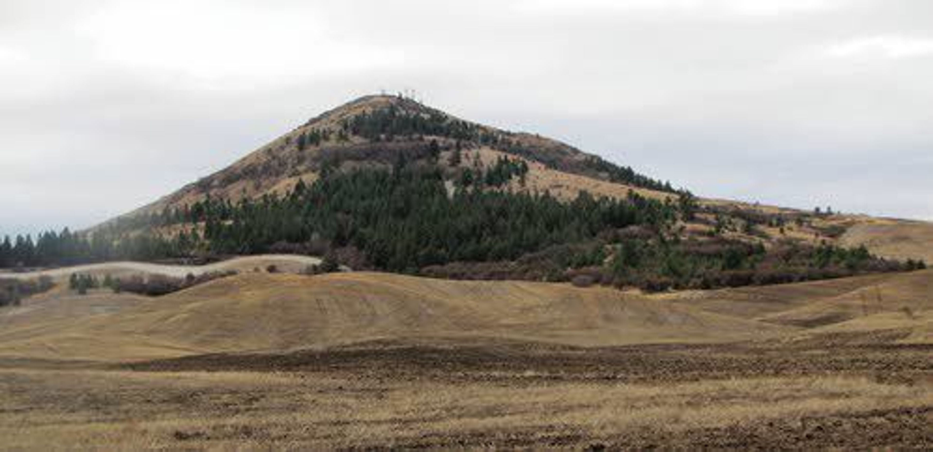 Many apple varieties thought to be extinct have been found in southeastern Washington, including near Steptoe Butte.