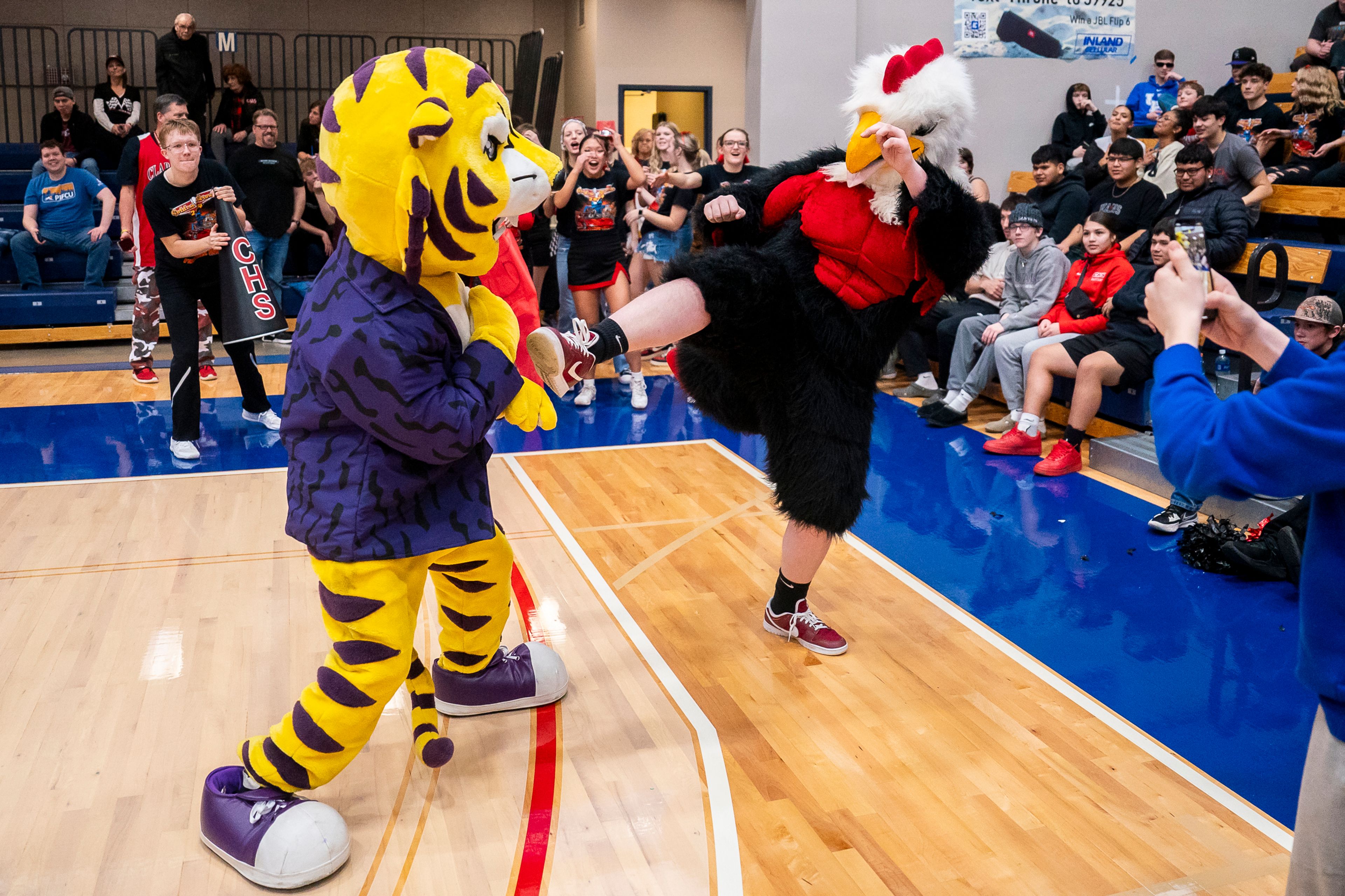 The Clarkston High School Bantam and the Lewiston High School Bengal fight each other during halftime of their Golden Throne rivalry game on Friday inside the P1FCU Activity Center in Lewiston.