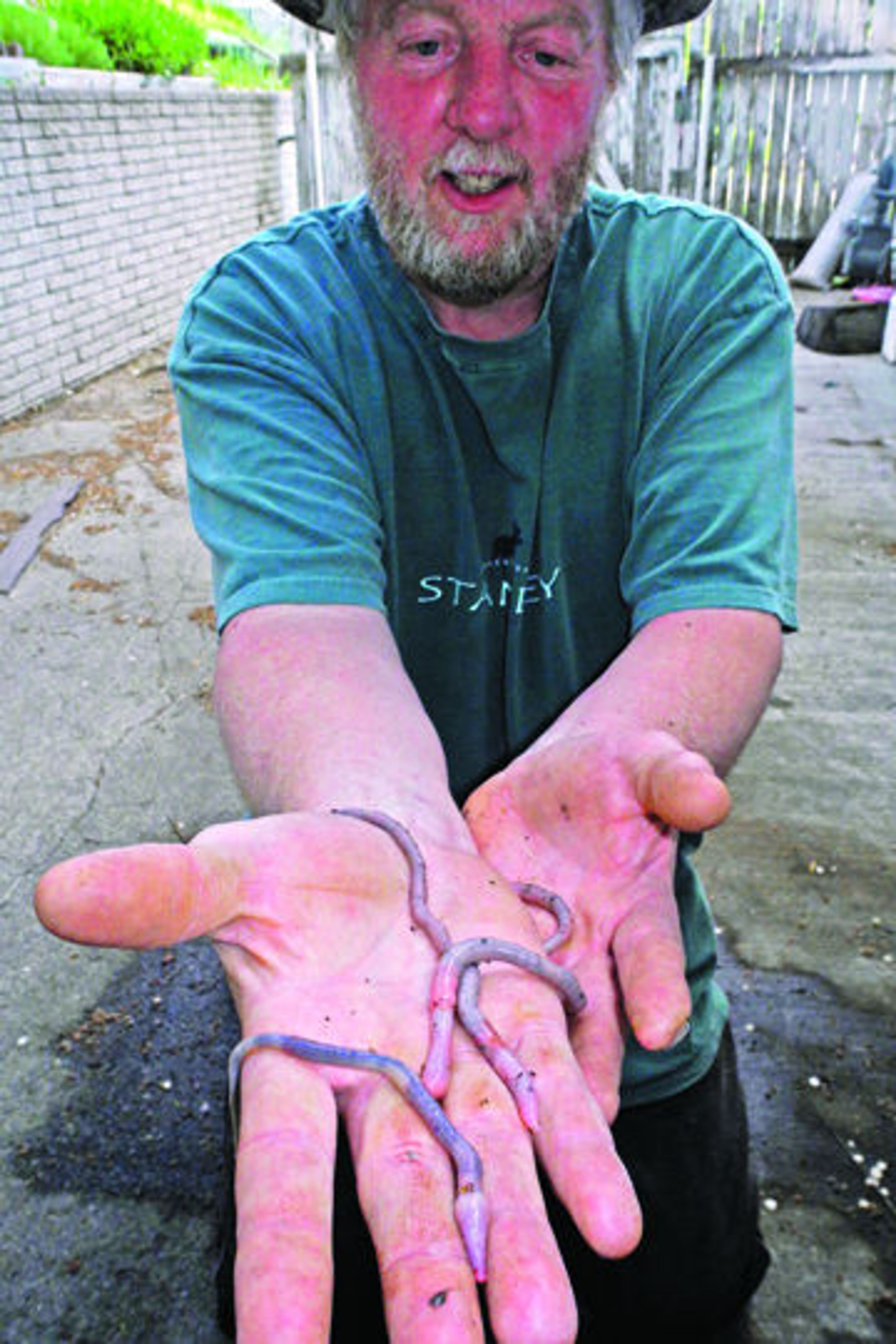 Cass Davis of Moscow holds what he believes are three giant Palouse earthworms he found on Paradise Ridge.