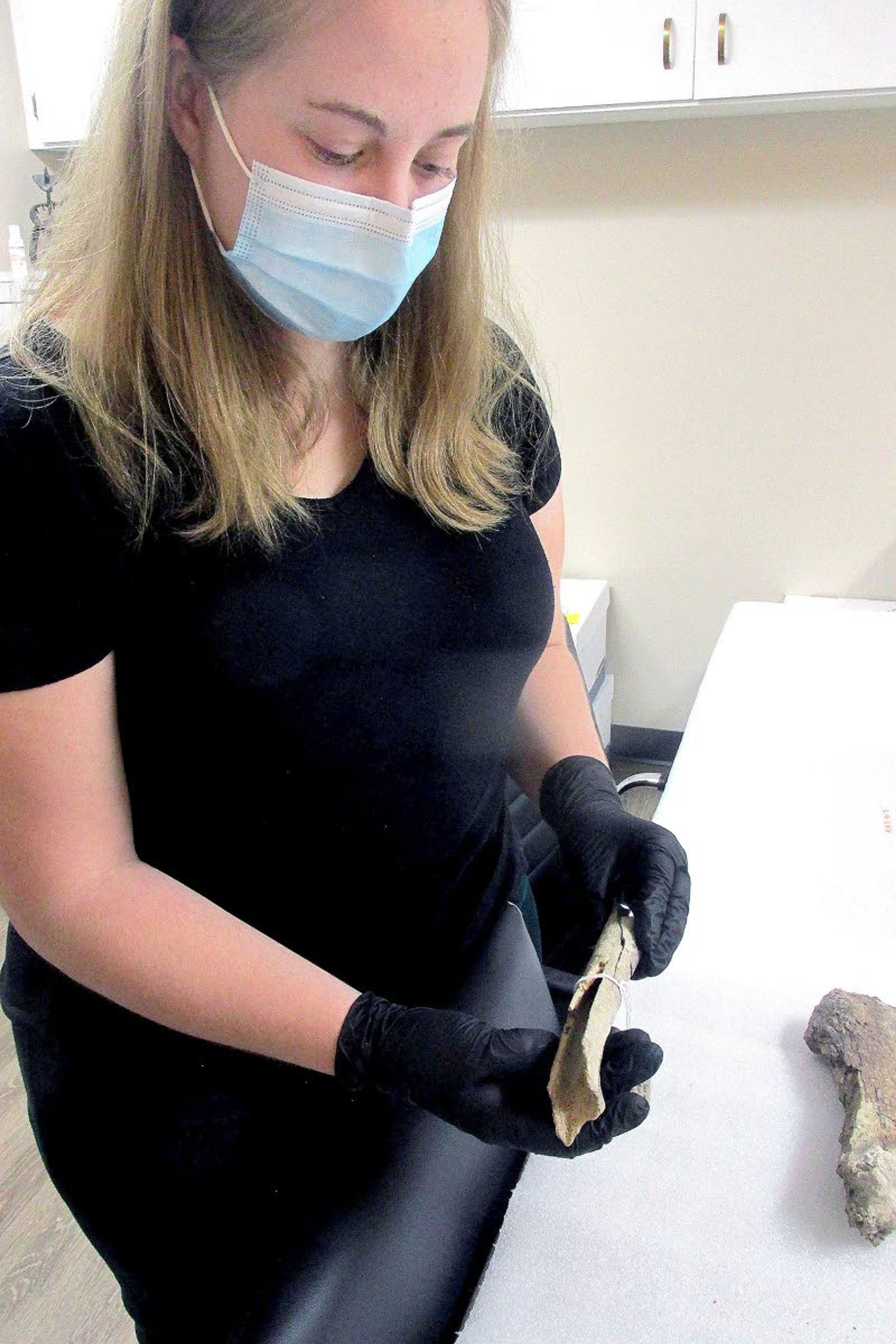 Kristina Frandson holds what is believed to be a bone from an ancient lion now extinct in North America. The bone was found in the Wasden cave west of Idaho Falls.