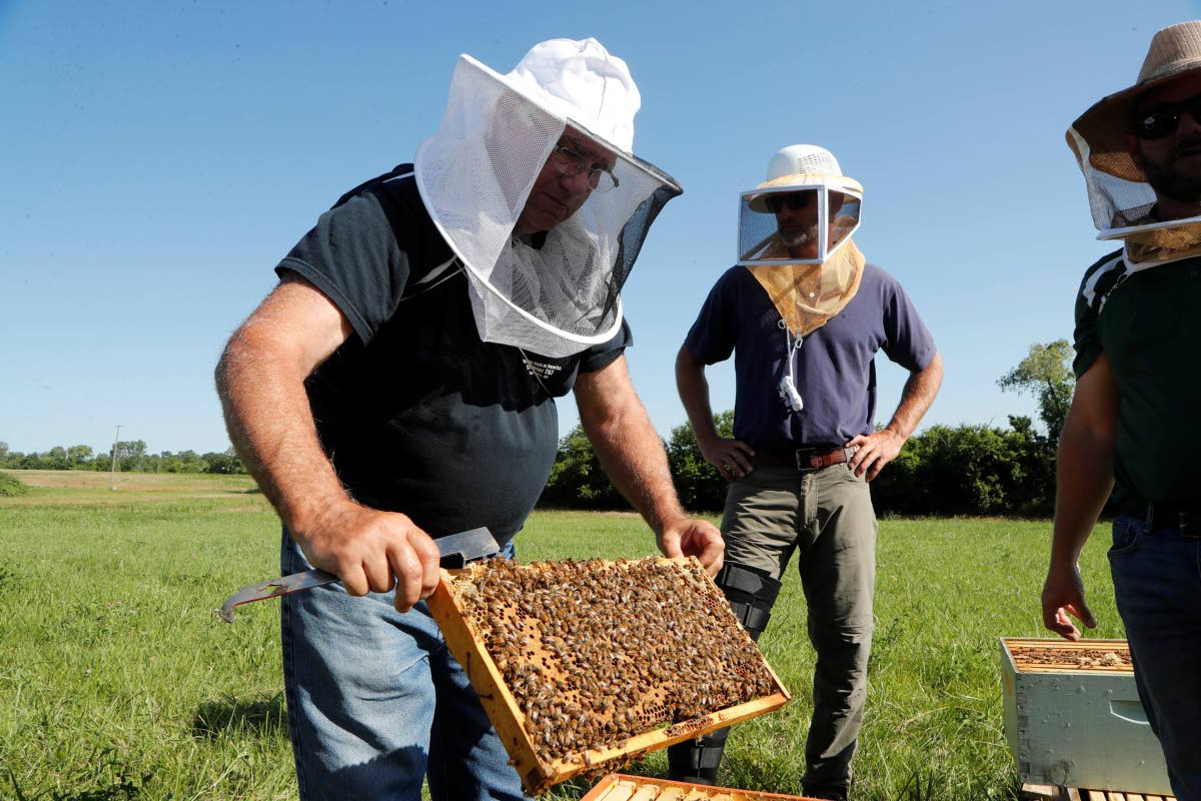 In this July 11, 2019 photo, Frank Bartel, a 69-year-old resident of Gregory, Mich., looks at a hive of bees in Superior Township, Mich. He served in the Army from 1968-71, including 11 months in Vietnam. After retiring from Ford, where he had worked as an engineer, Bartel "moved out to the country" and decided to take up beekeeping through a program, Heroes to Hives, at Michigan State University Extension that provides vets with a nine-month beekeeping course free of charge. (AP Photo/Carlos Osorio)