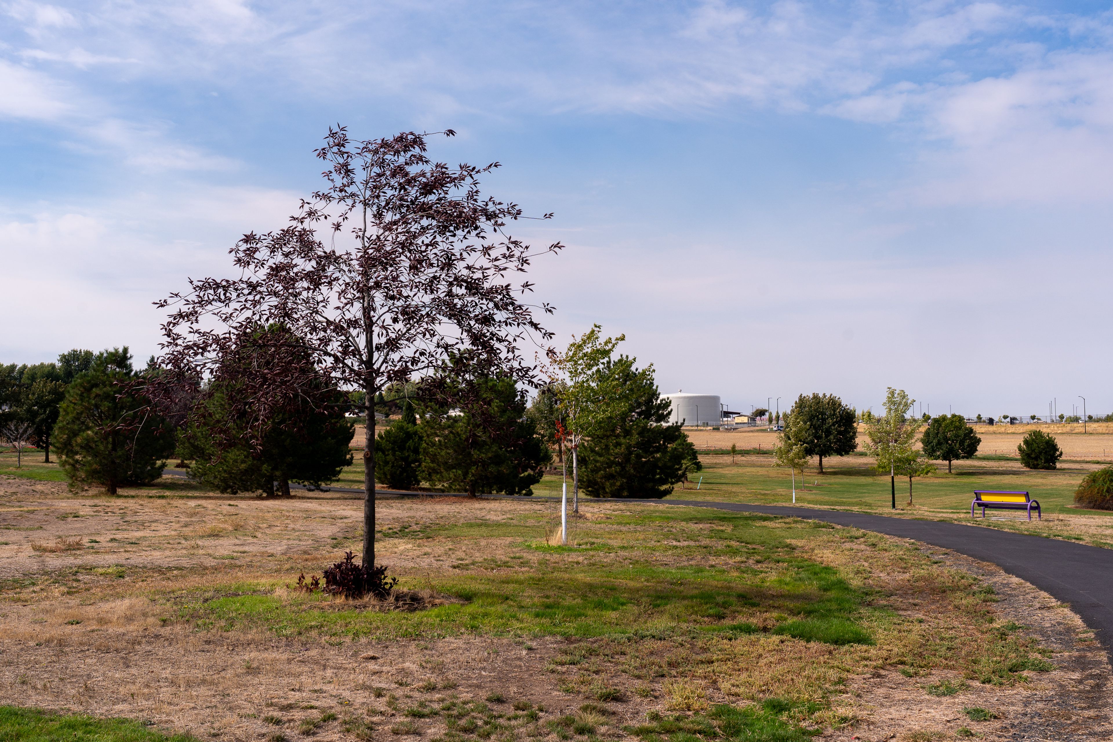 The Lewiston Community Park is pictured on Saturday in Lewiston.