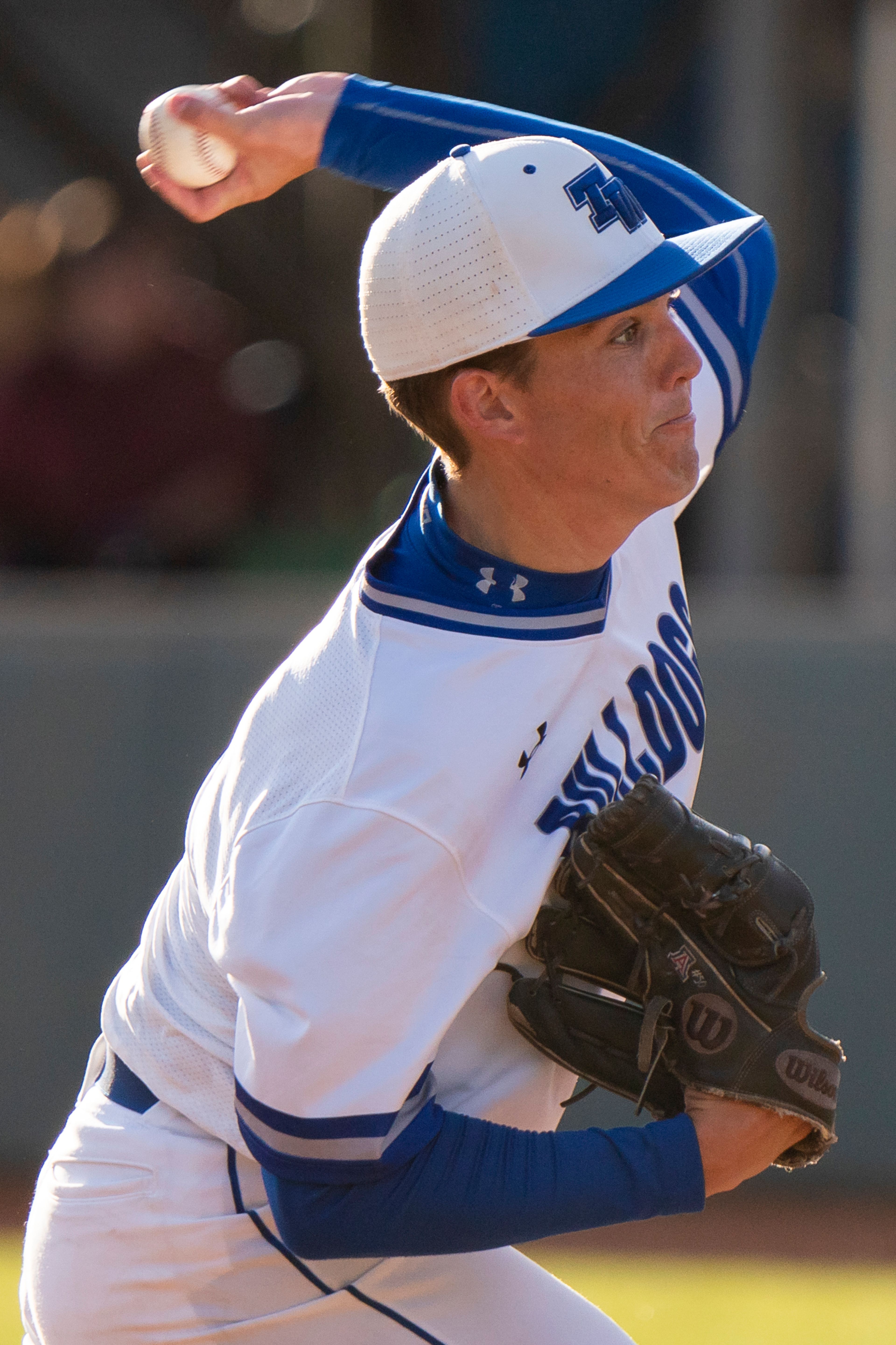 Tennessee Wesleyan pitcher Blake Peyto throws a pitch during Game 18 of the NAIA World Series against Reinhardt on Thursday at Harris Field in Lewiston.