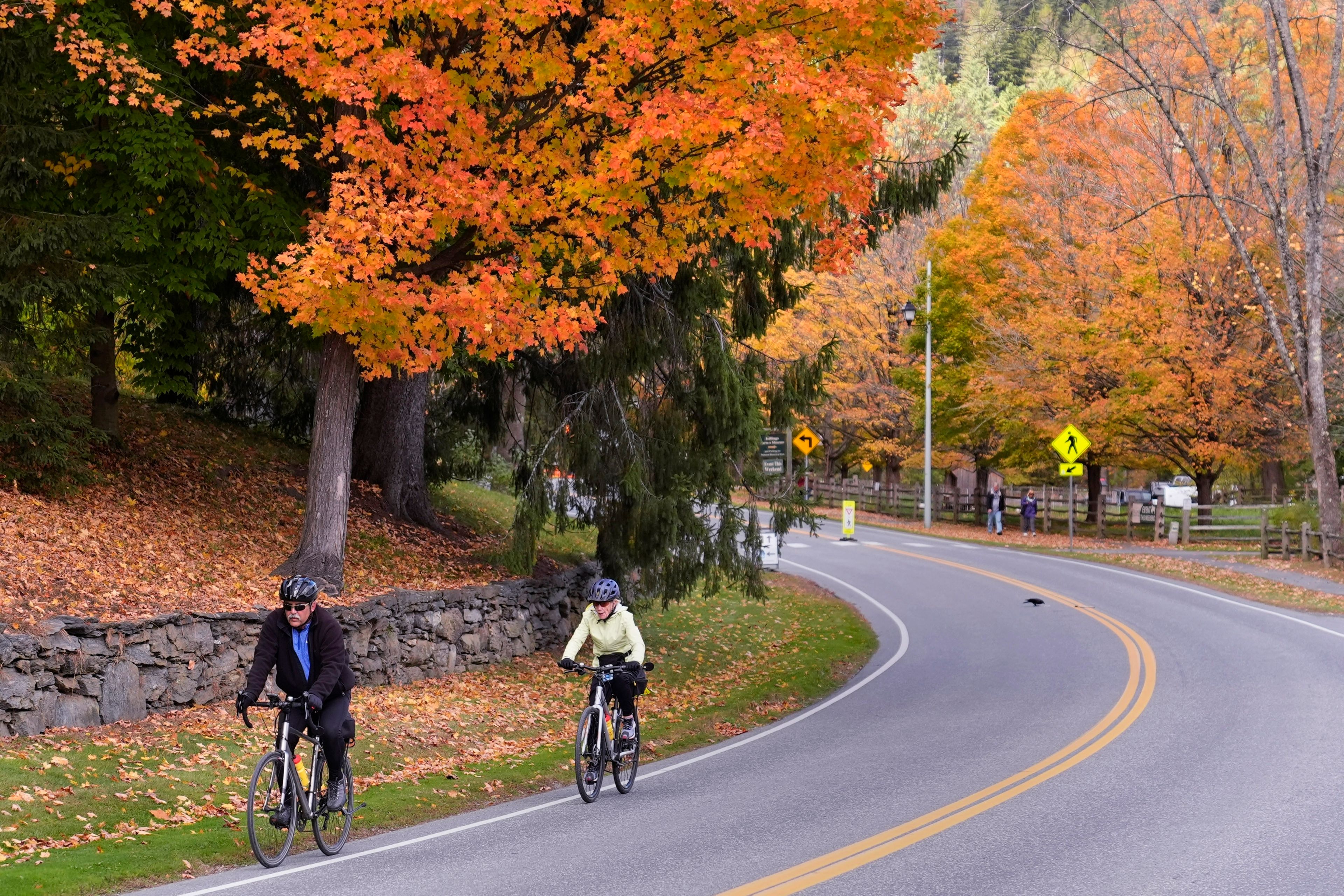 FILE - Two cyclists trek uphill, passing trees changing to Autumn colors, Oct. 10, 2024, in Woodstock, Vt. (AP Photo/Charles Krupa, File)