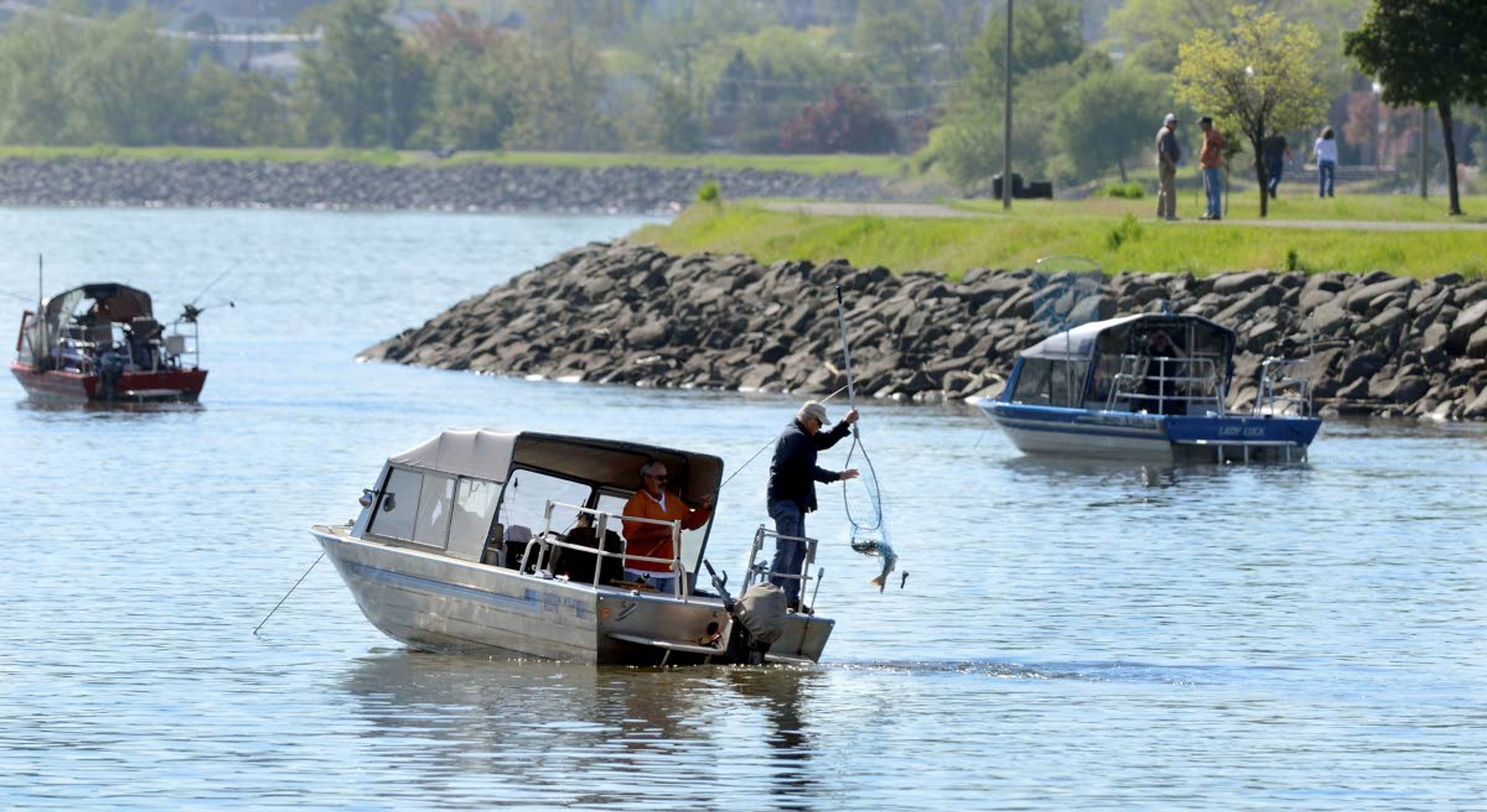 Clearwater River salmon fishermen try their luck with some success at catching chinook salmon in this Tribune file photo from 2011. This year’s limited season could end soon if the run doesn’t show some life.