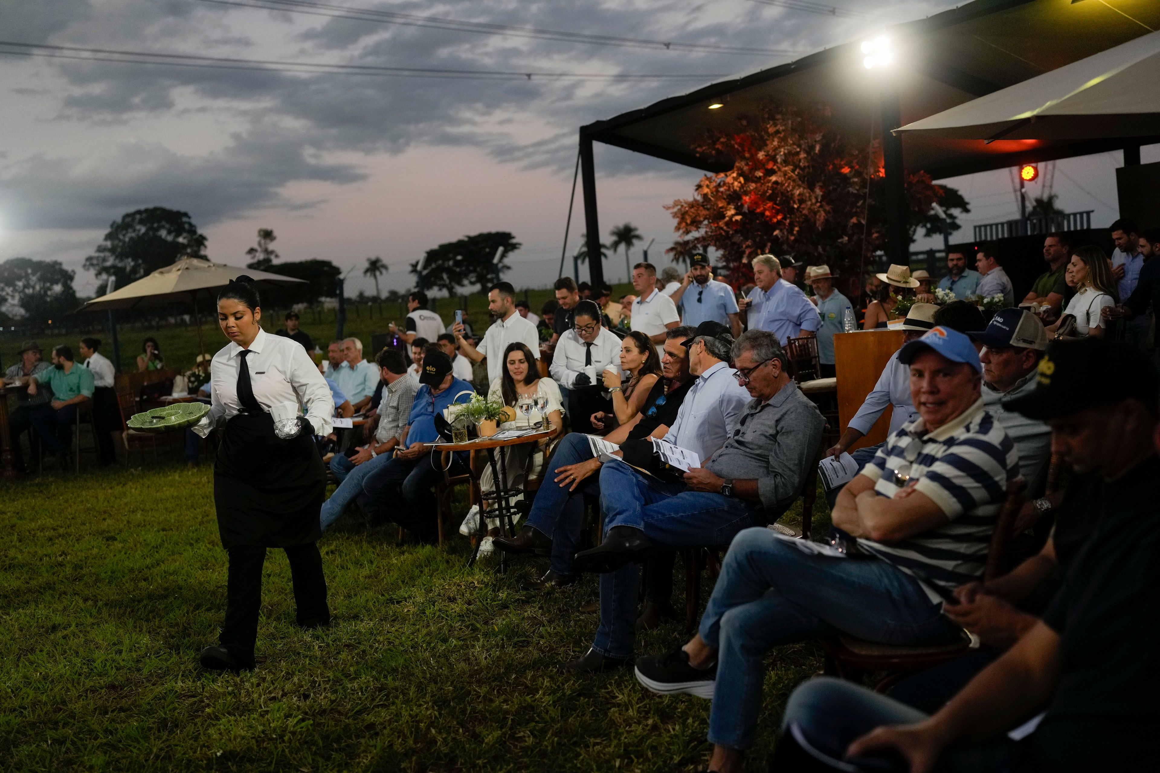 Attendees are served by waiters during the presentation of cows a day before the "Elo de Raça" auction, on the sidelines of the ExpoZebu in Uberaba, Minas Gerais state, Brazil, Saturday, April 27, 2024. The Elo de Raça is the most prestigious auction during the annual ExpoZeb, which bills itself as the world’s biggest Zebu fair.