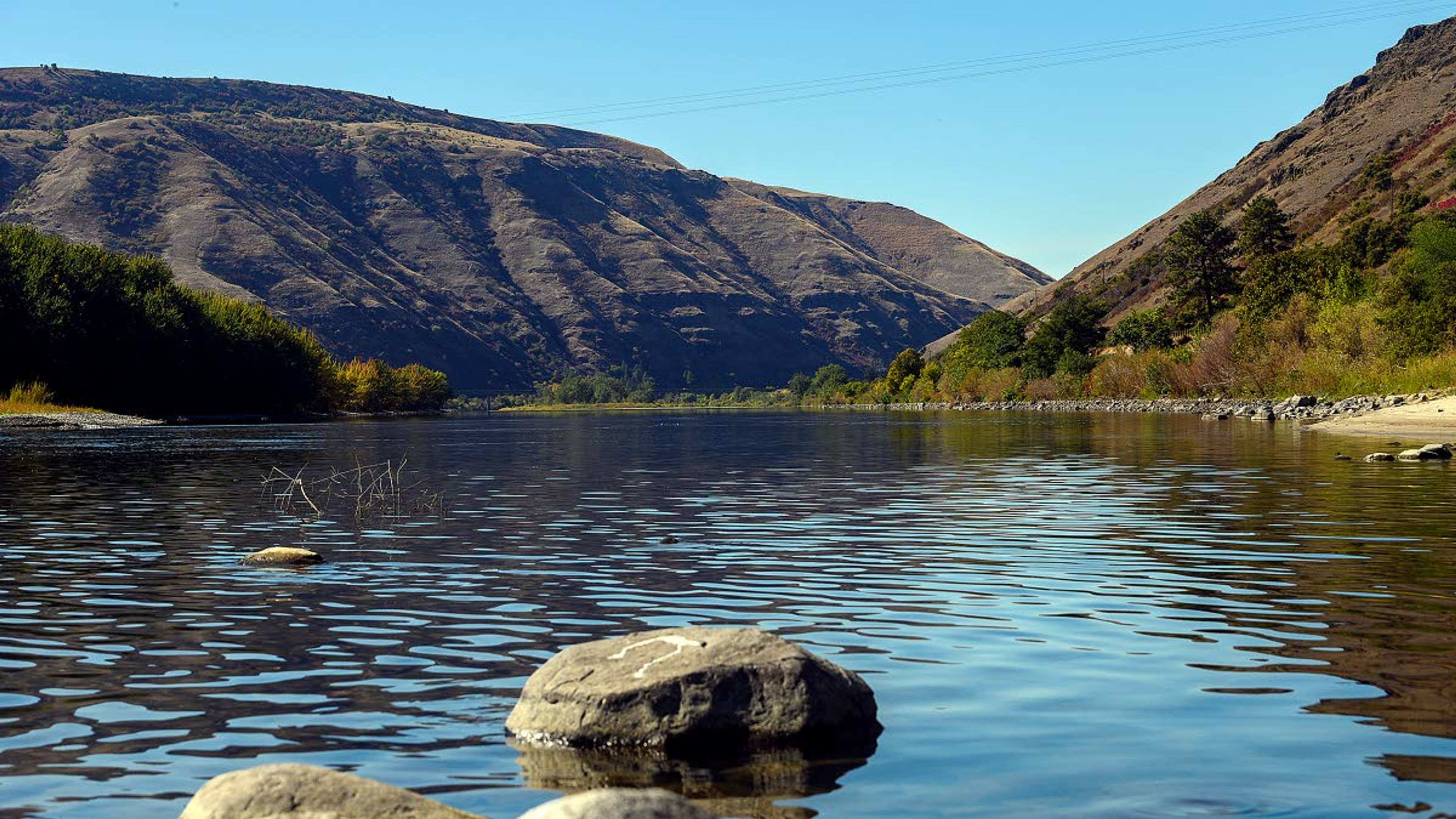 A placid Clearwater River is seen Wednesday afternoon near Spaulding Creek. The river is closed to steelhead fishing.