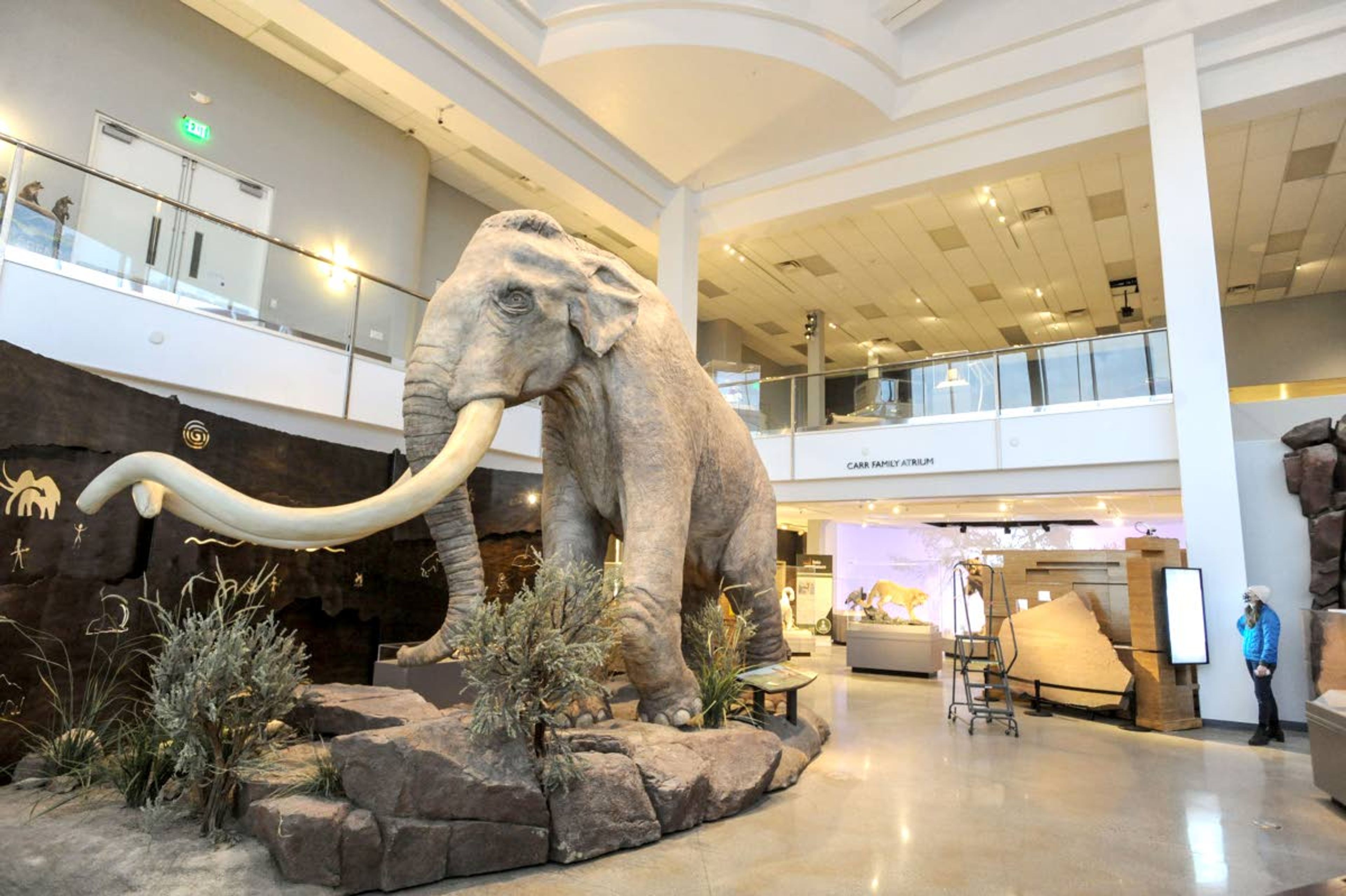 A replica of a wooly mammoth is seen at the Museum of Idaho earlier this year.