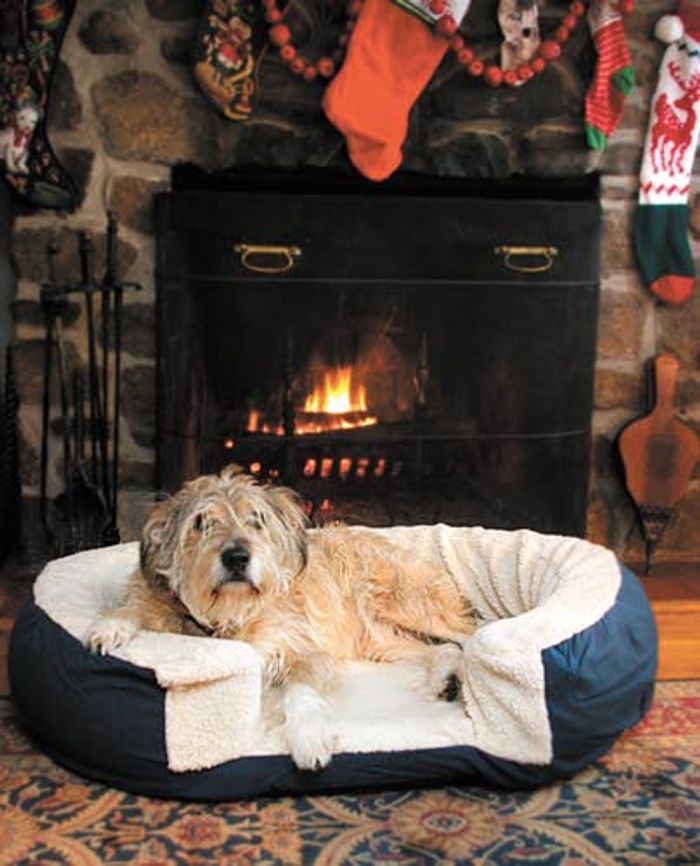 Stewart Try these tips to keep Spot and Puff off furniture