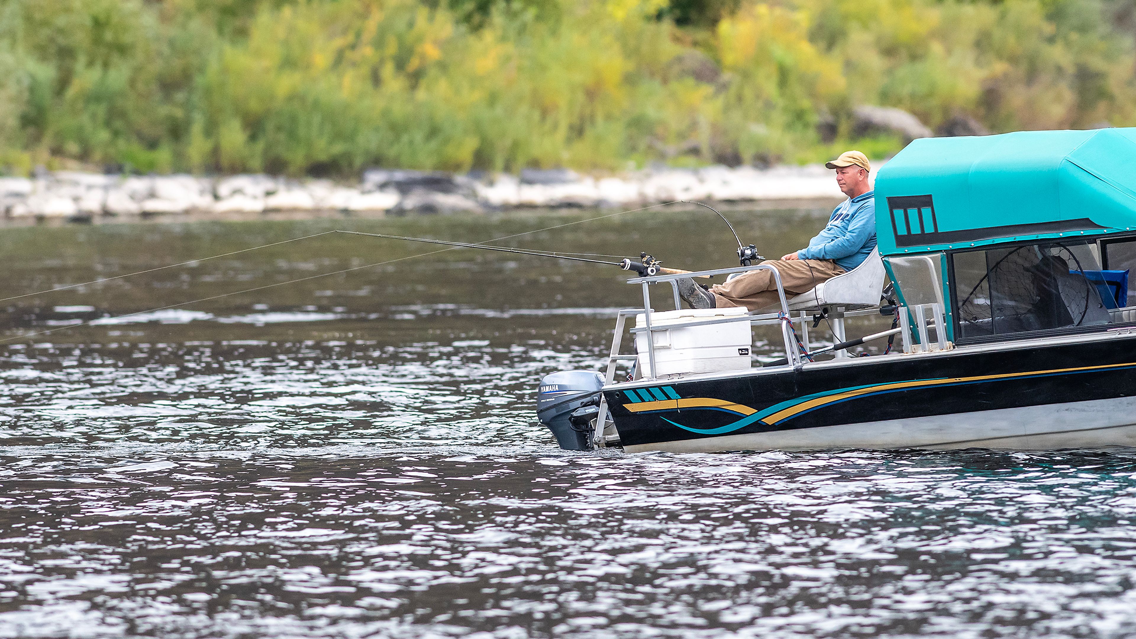 Big steelhead bound for Idaho rivers