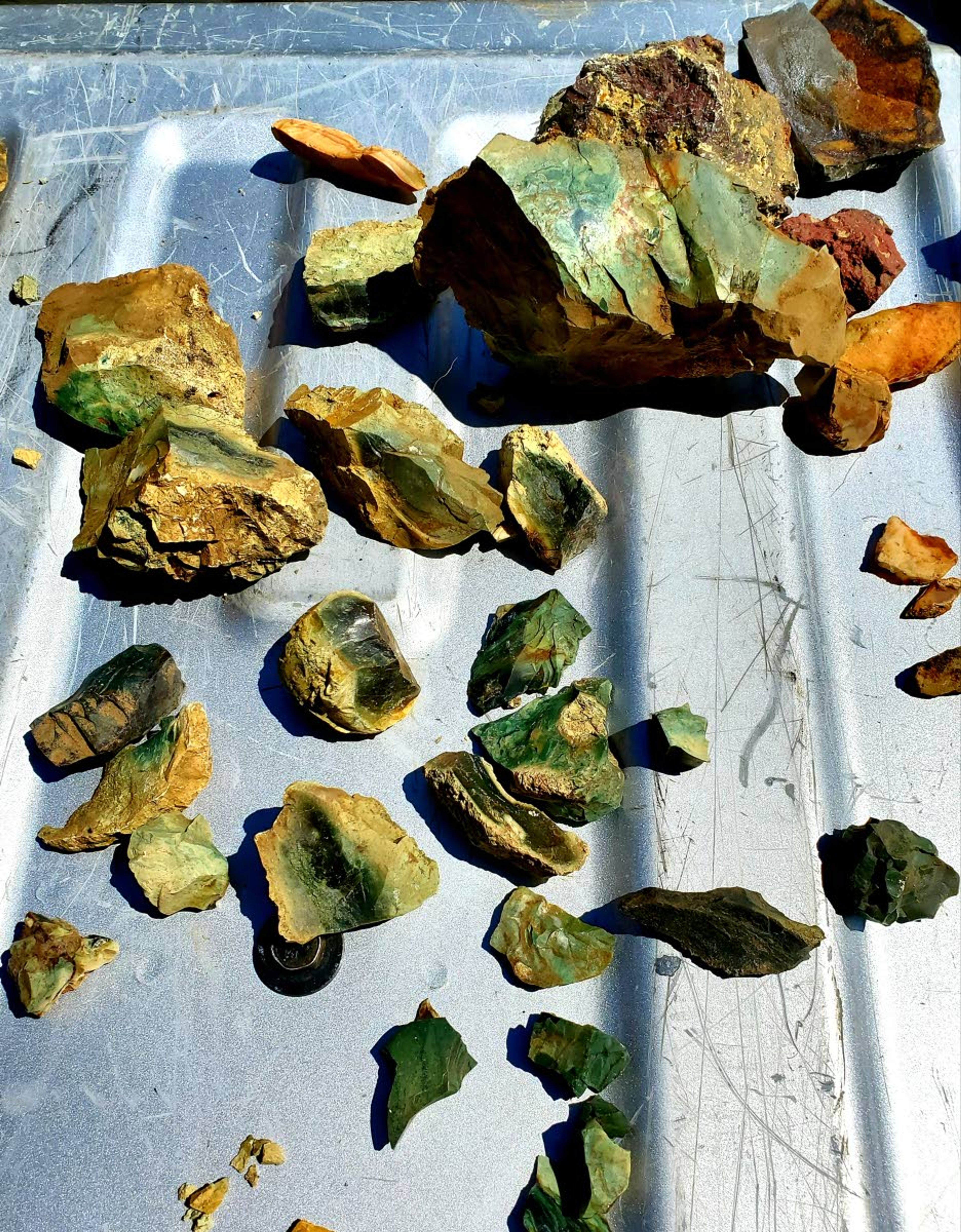 A nice assortment of green Snake River jasper was among the rocks found on the Friday morning hike.