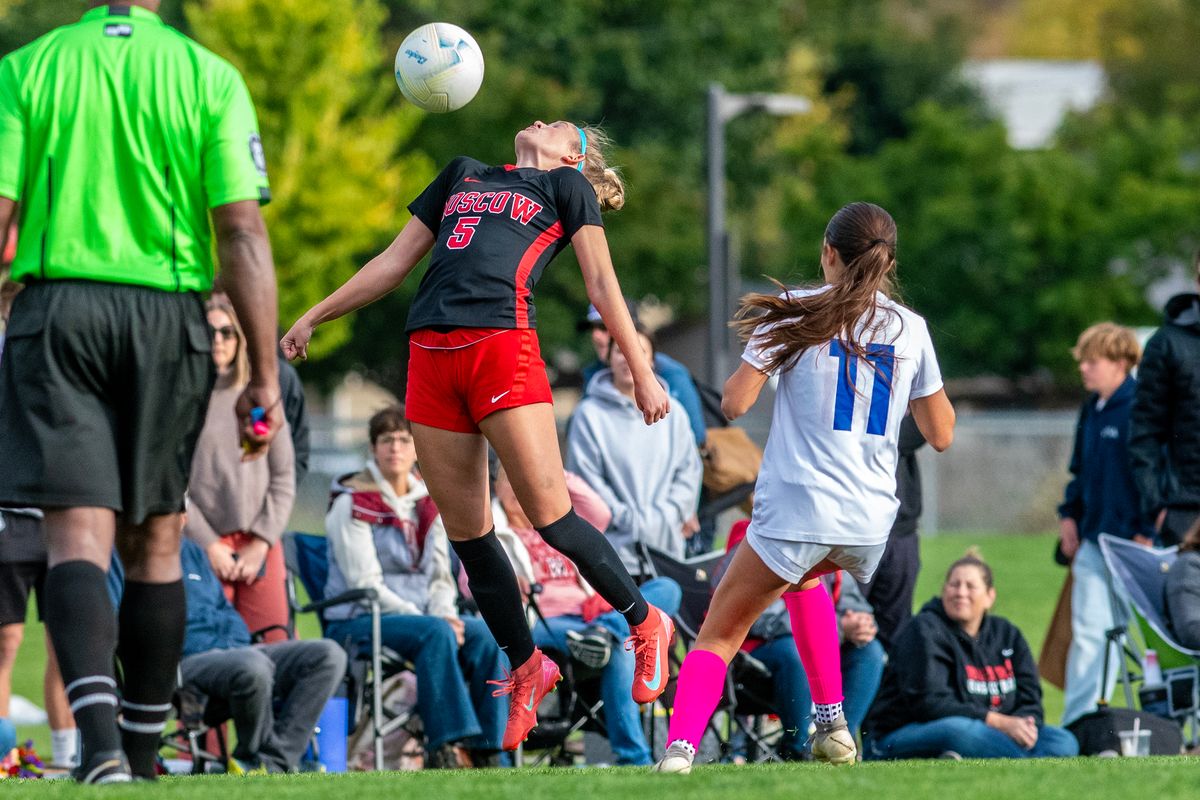 GIRLS SOCCER: Bears, Bengals highlight state-wide soccer awards