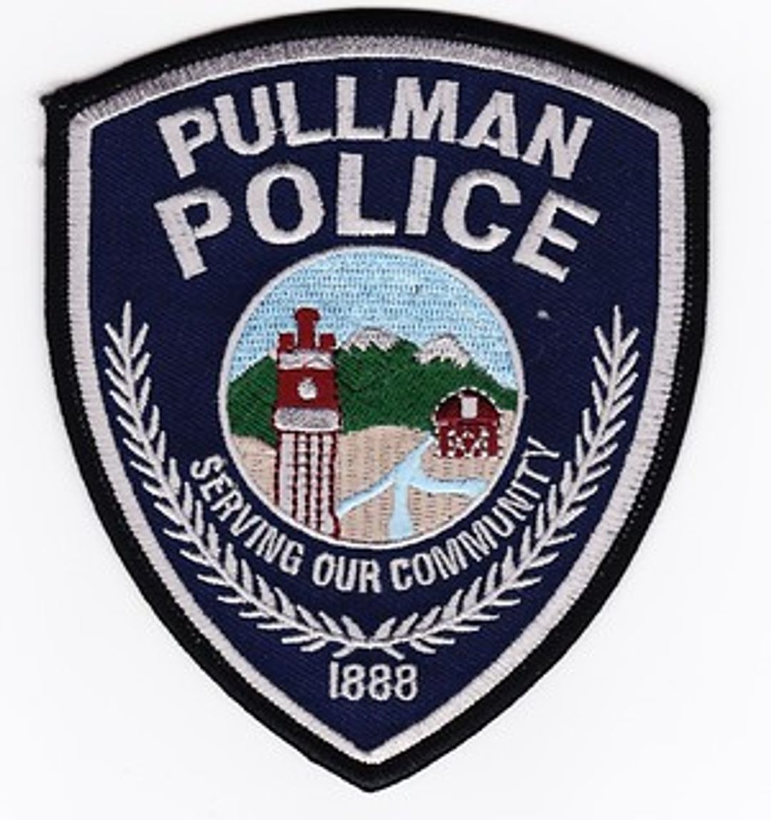 23-year-old-pullman-man-charged-with-assault-commission-of-a-hate-cri