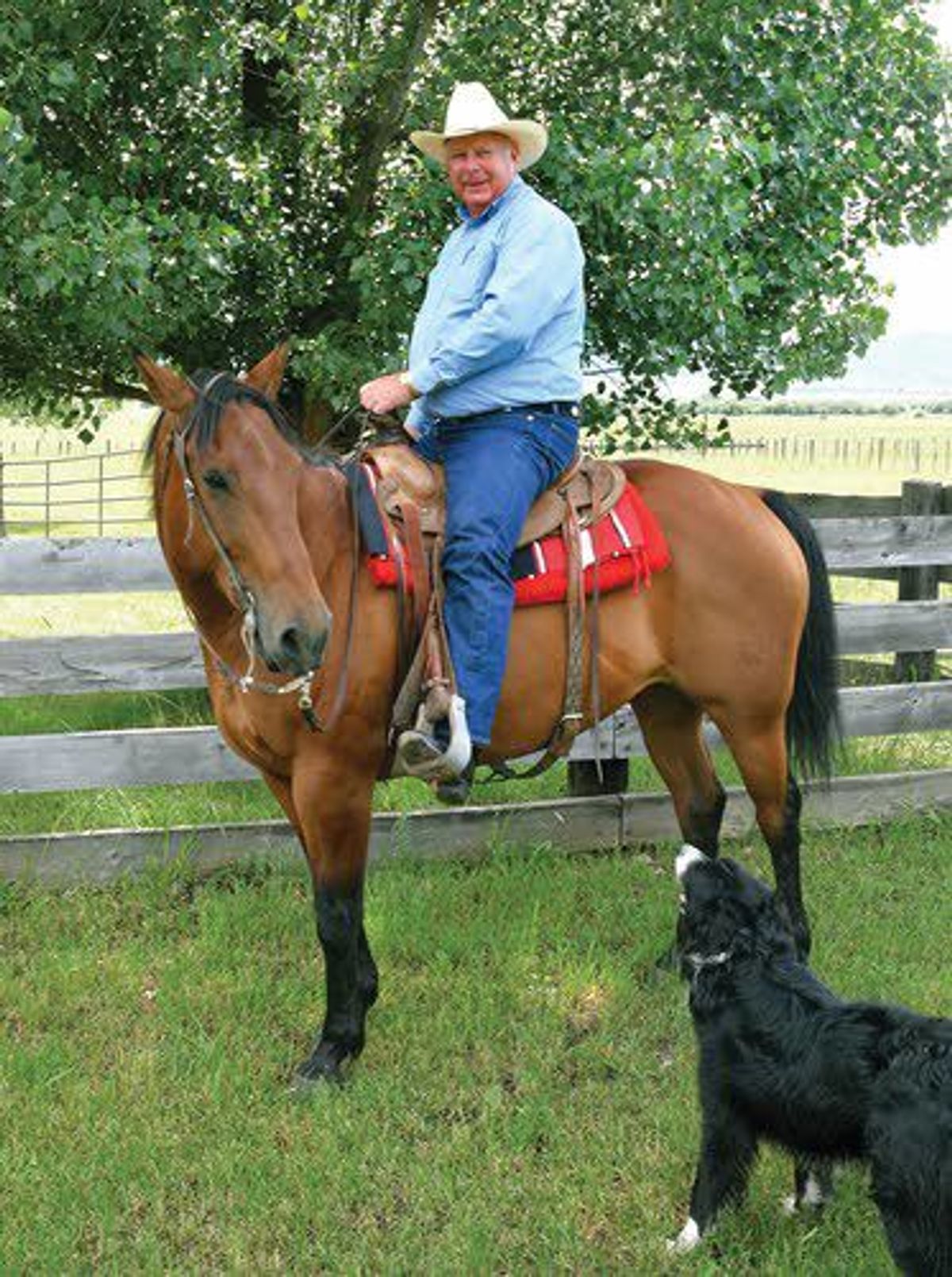 A cattle rancher, born and bred