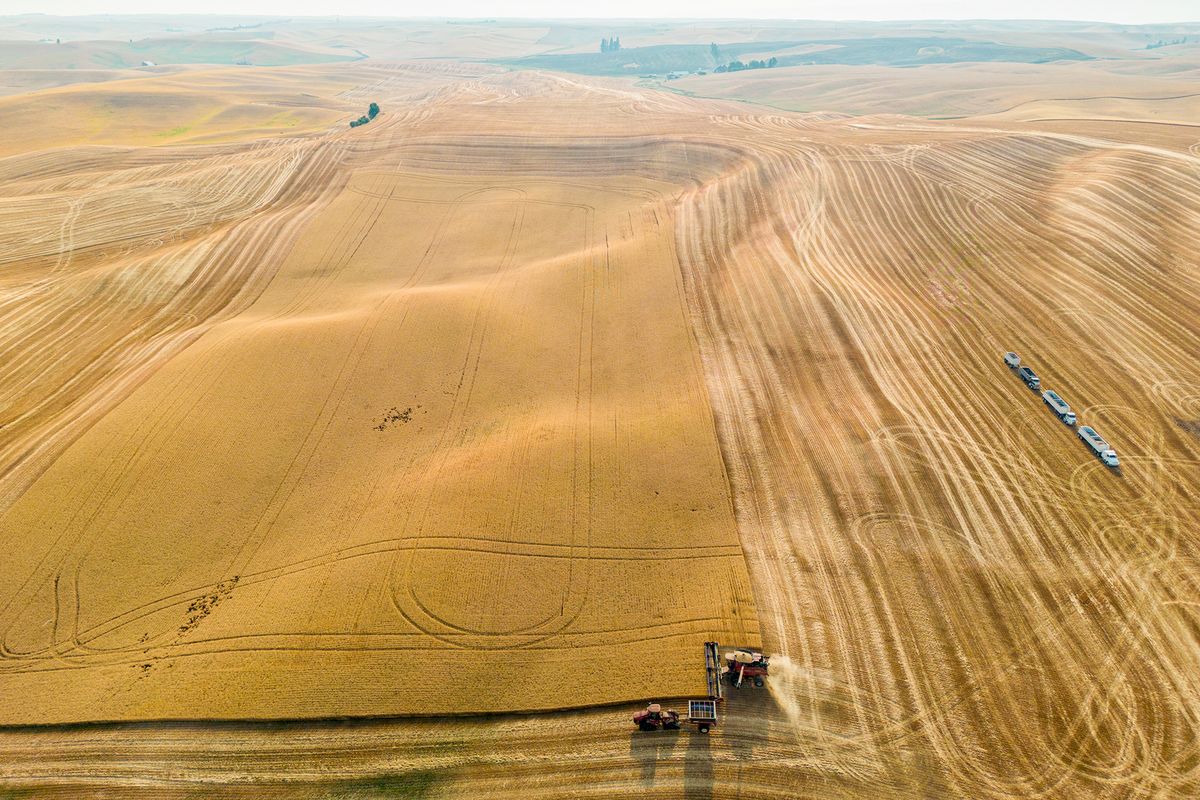 Recently announced wheat deal between Idaho and Taiwan maintains status quo