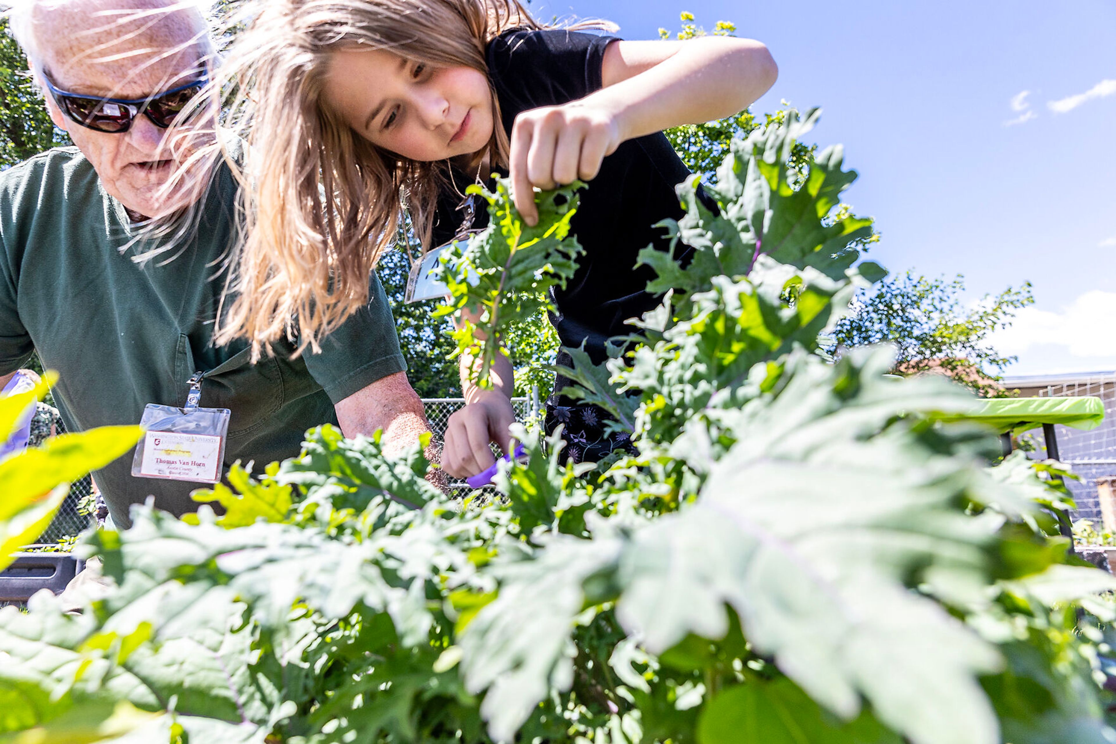 Grantham Elementary enjoys the fruits of a yearlong gardening and nutrition course