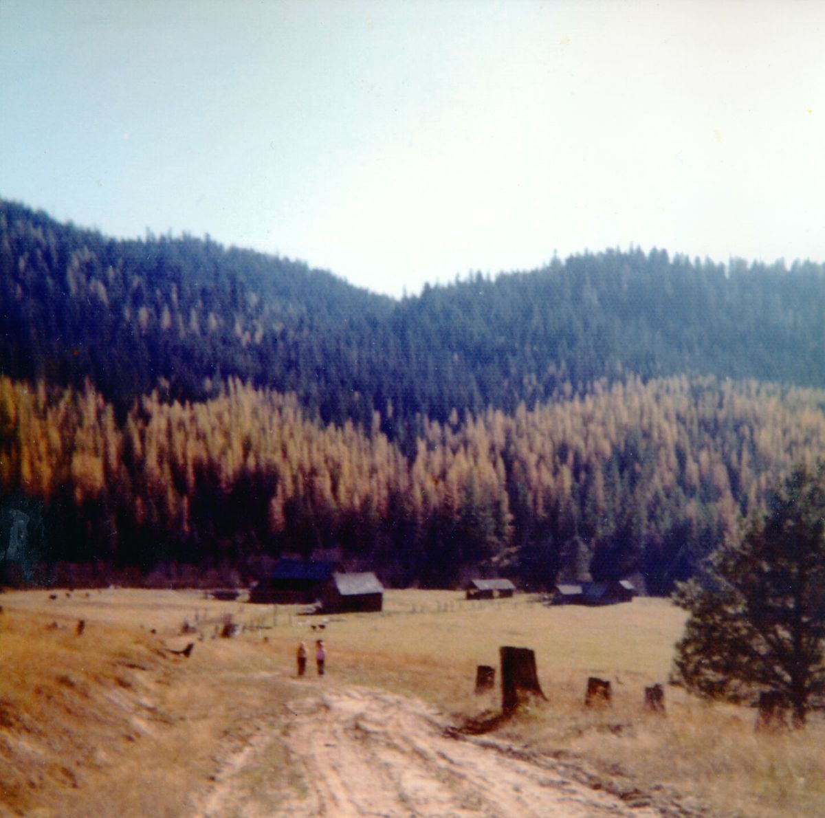 Blast from the Past / 1970s: A hike to Hidden Farm