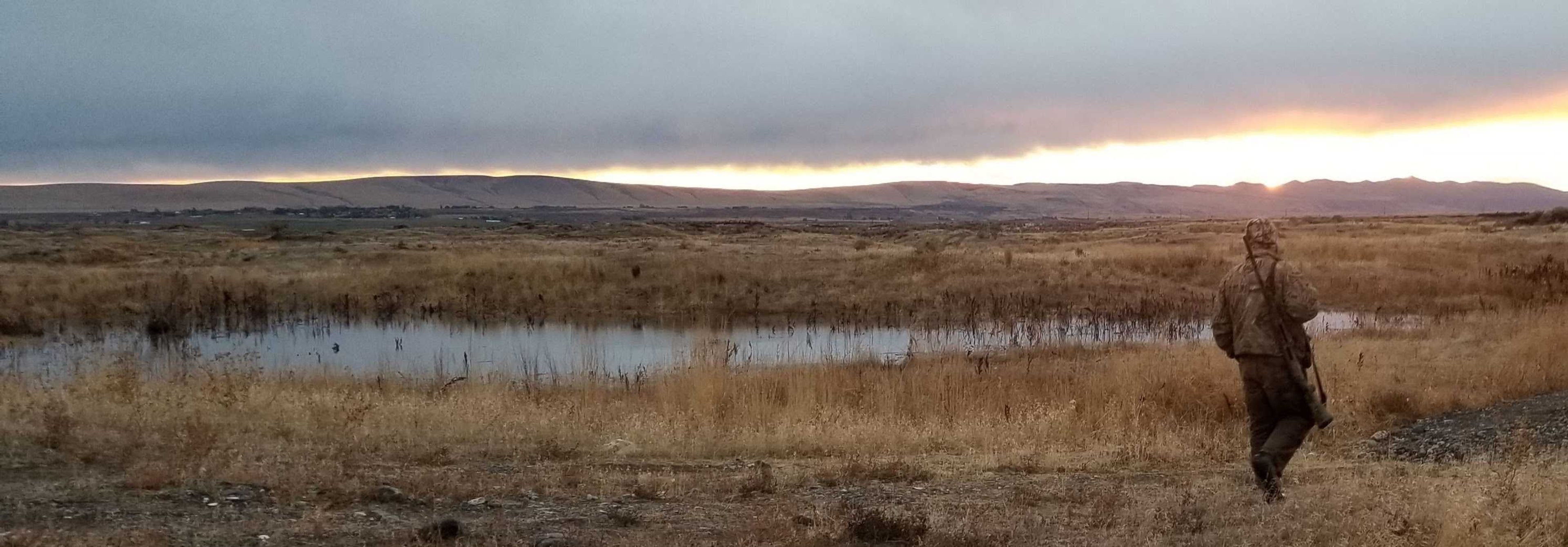 A duck hunters walks along a pond in central Washington. Hunters, recreational shooters and gun owners, help fund wildlife conservation via the Pittman-Robertson Act that established a federal excise tax on the sale of hunting and shooting equipment.