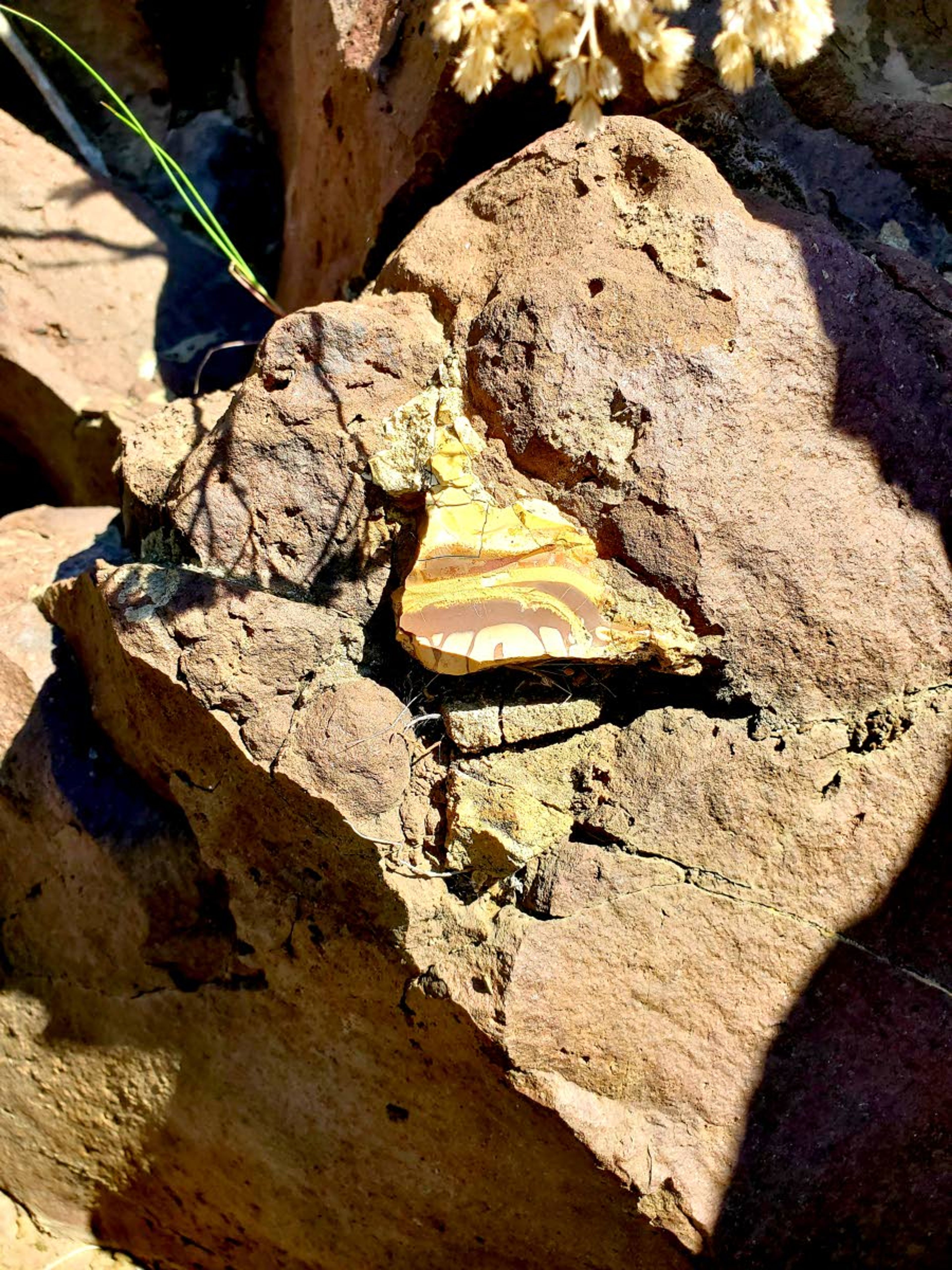 A close up of Fryite discovered amongst the basalt Friday.