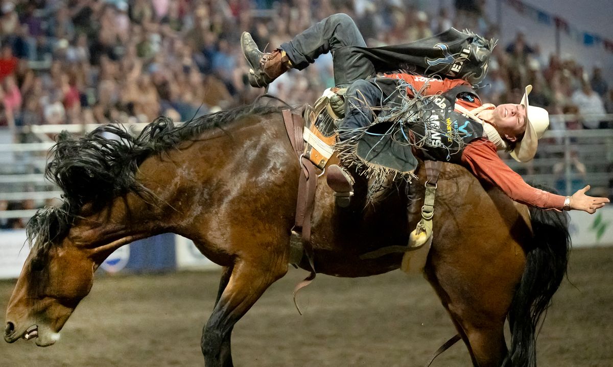 BIG PICTURE: Just hanging on to the bronc
