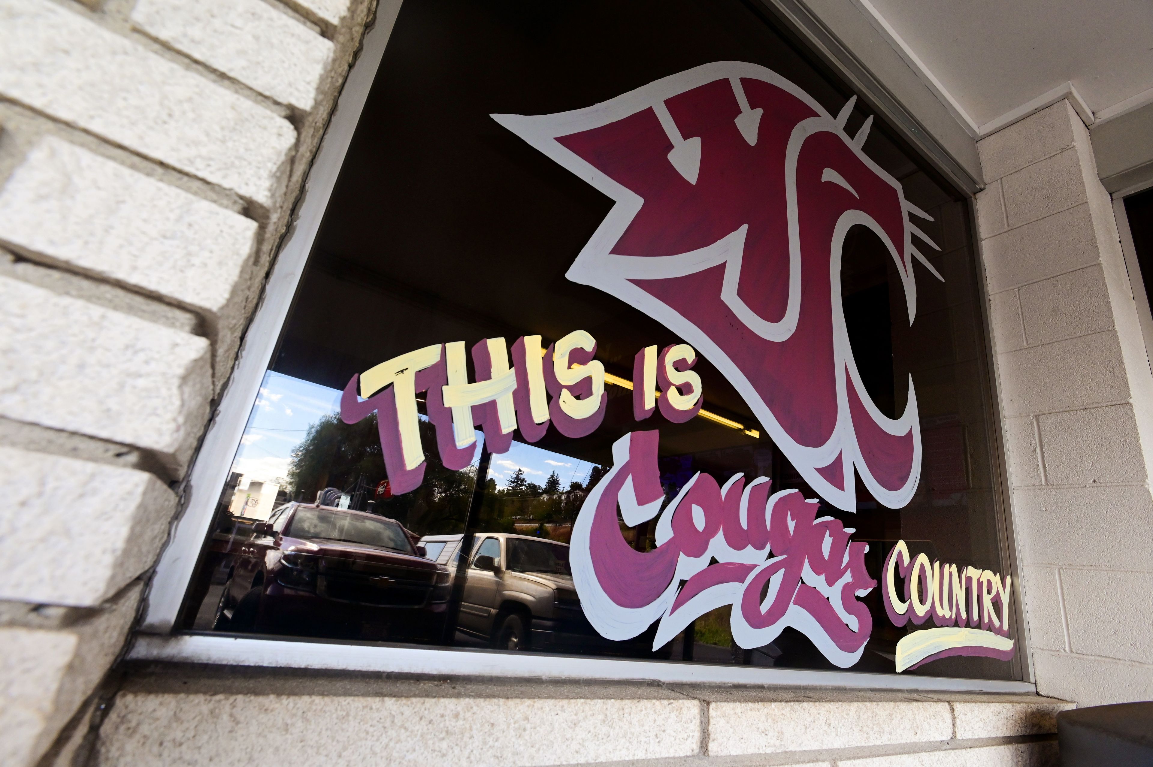 Painted window displays support the Washington State Cougars at Pullman's Cougar Country Drive In. Businesses are anticipating a loss of business as the WSU team faces realignment.