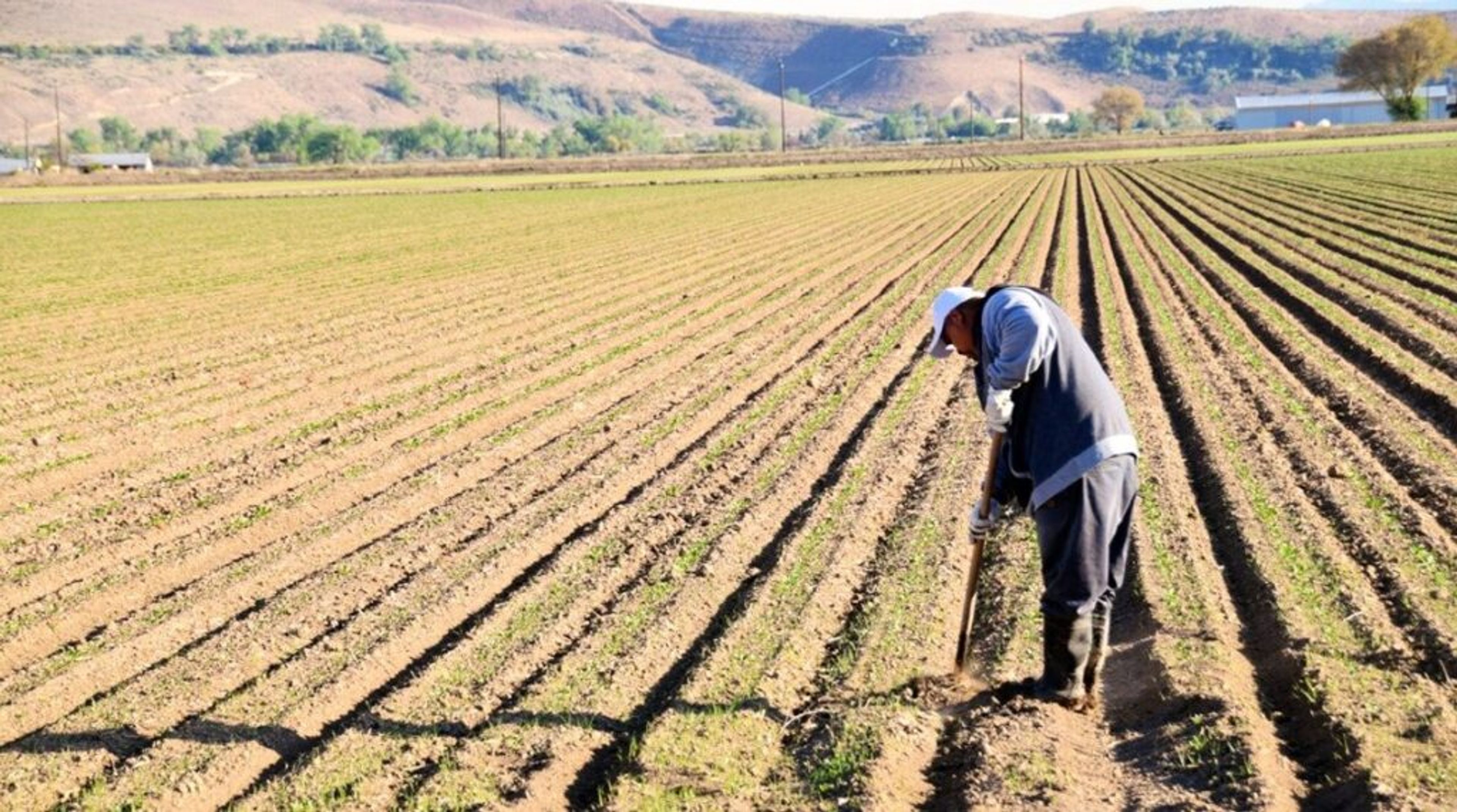 More than half of Northwest in extreme drought