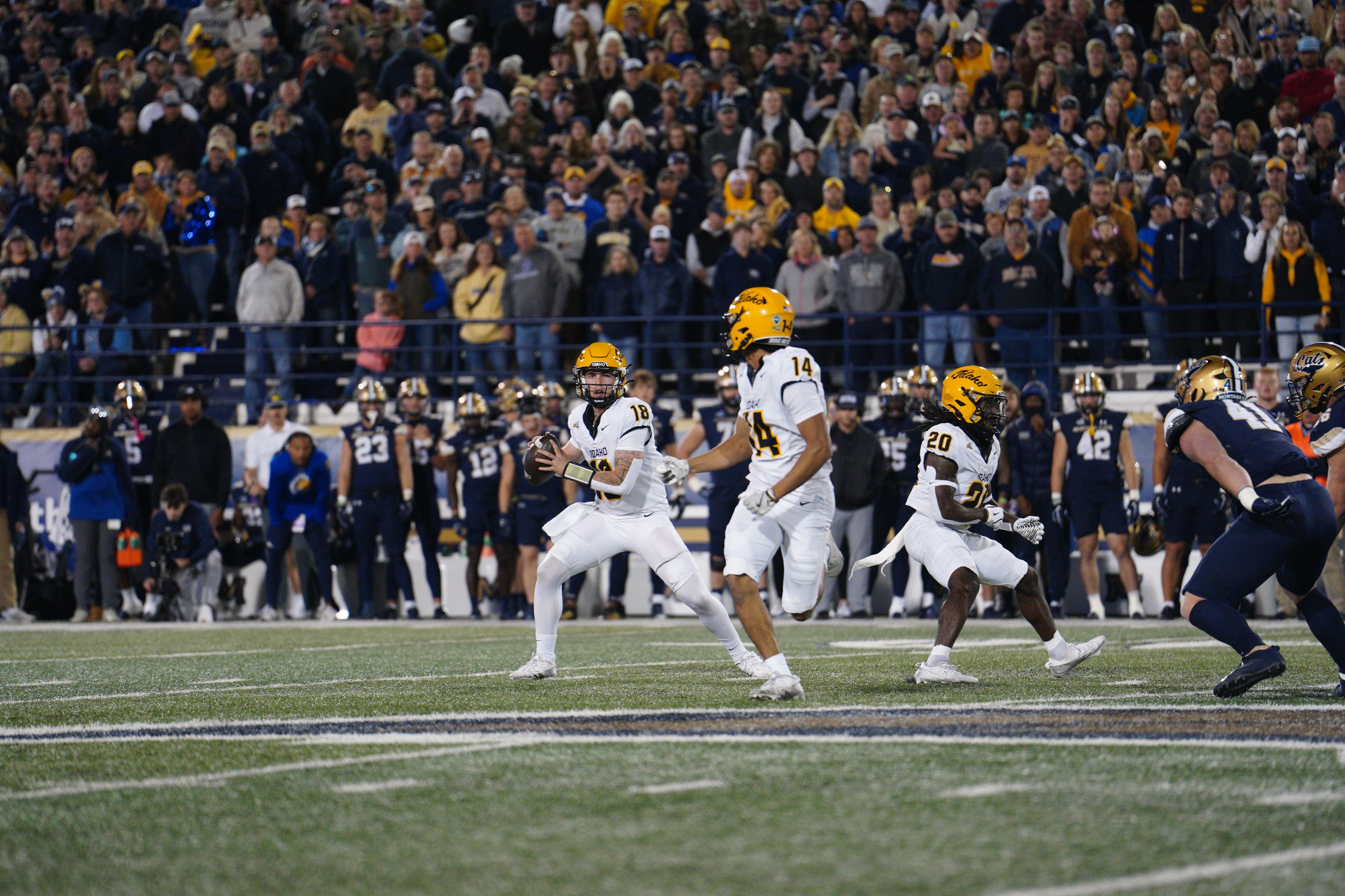 Idaho quarterback Nick Josifek eyes wide receiver Emmerson Cortez-Menjivar in the Vandals� game versus the Montana State Bobcats on Saturday, Oct. 12, 2024, in Bozeman, Mont.