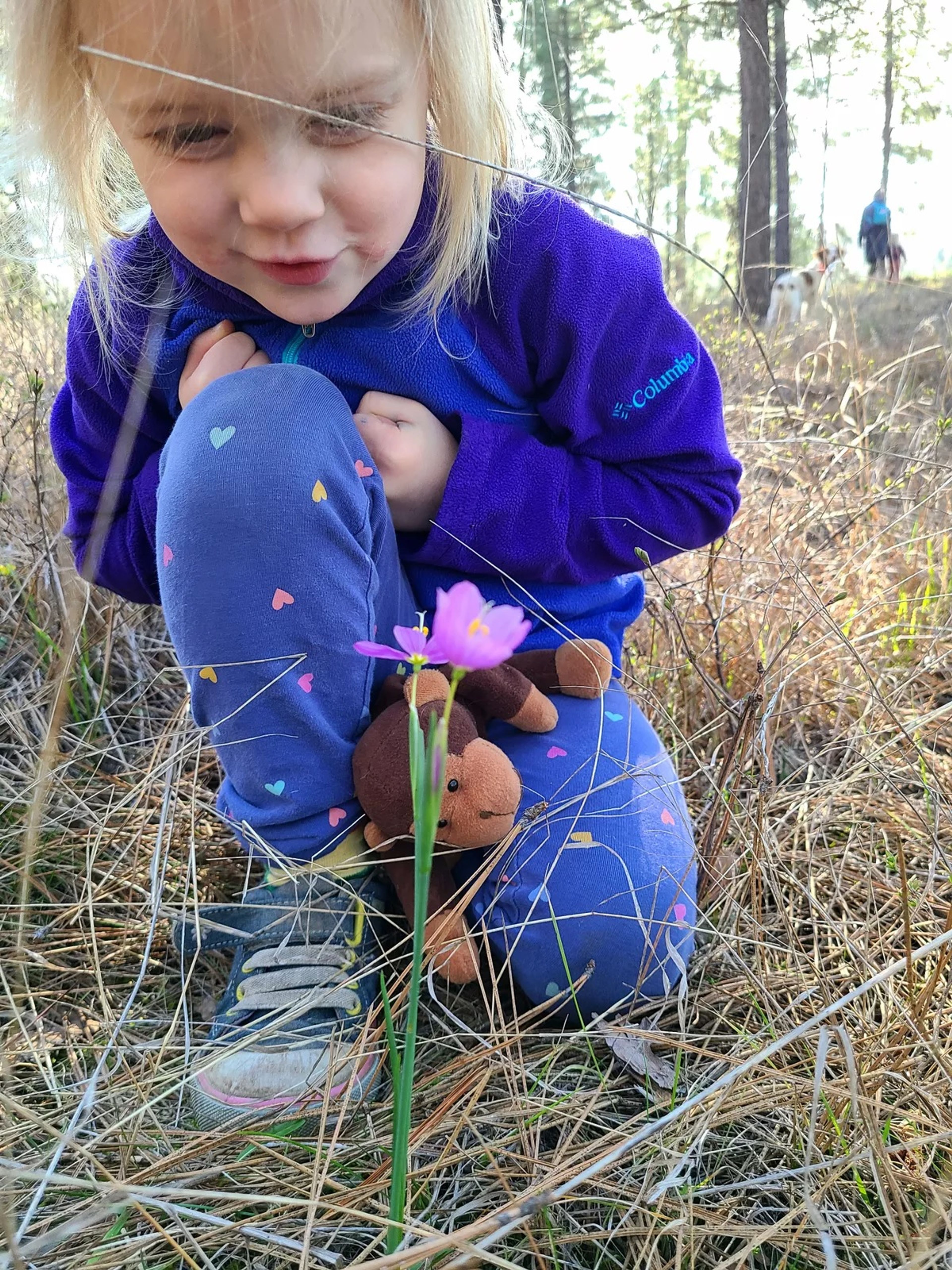 Livia Landers, 5, studies grass widows during a family wildflower walk.