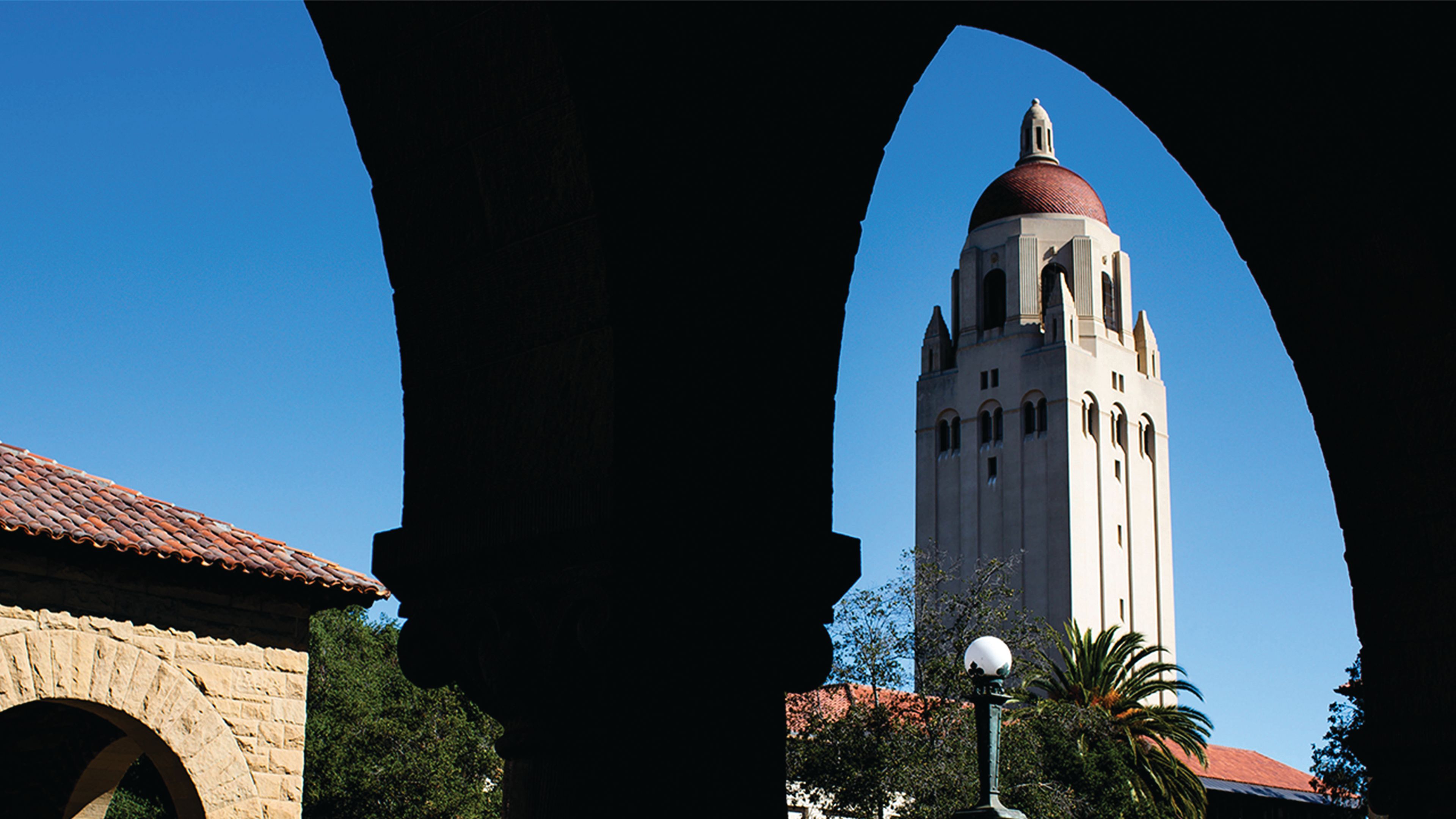 Many college grads struggling in job market because of AI