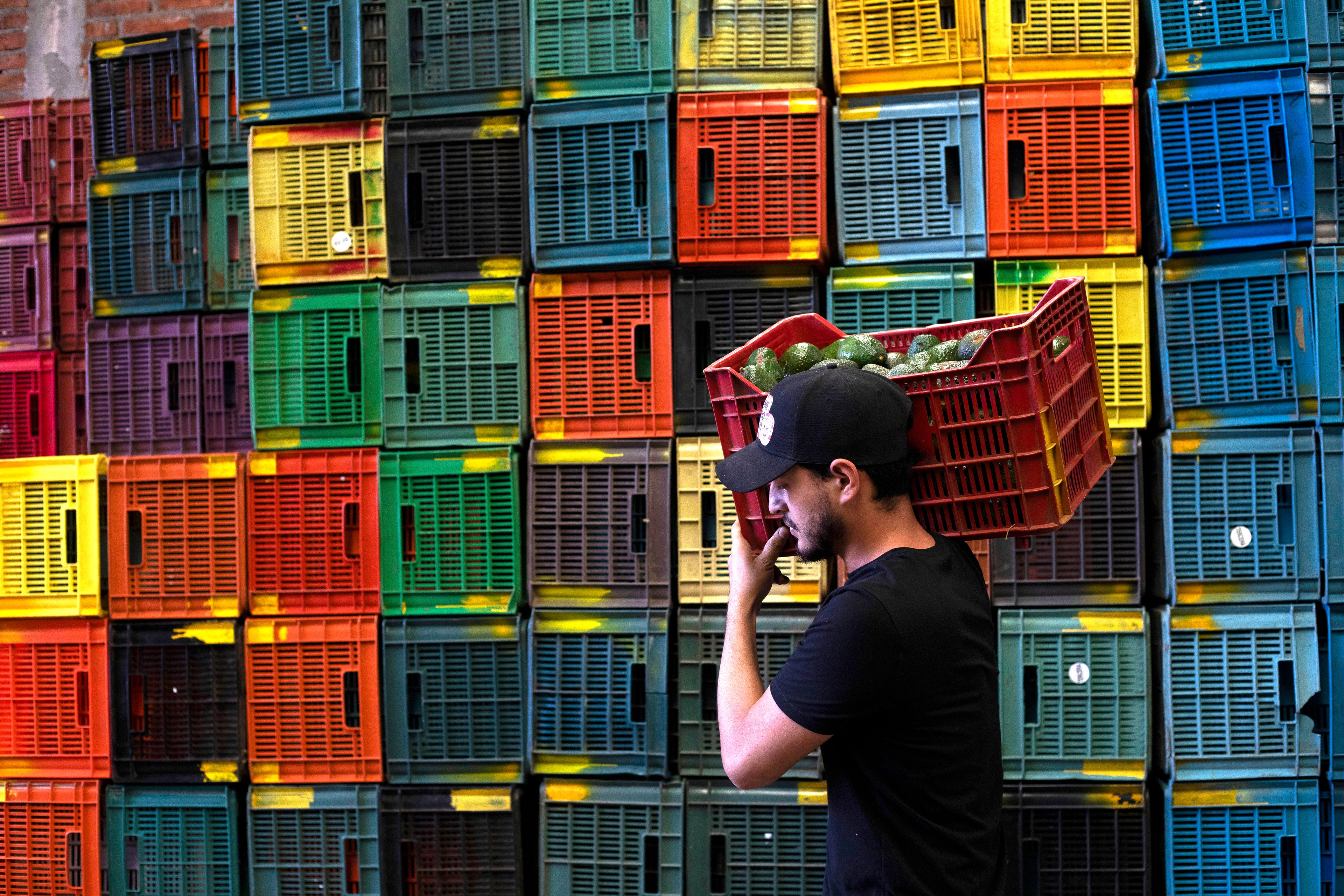 FILE - A worker carries a crate of avocados at a plant in Uruapan, Michoacan state, Mexico, Feb. 9, 2024. (AP Photo/Armando Solis, File)