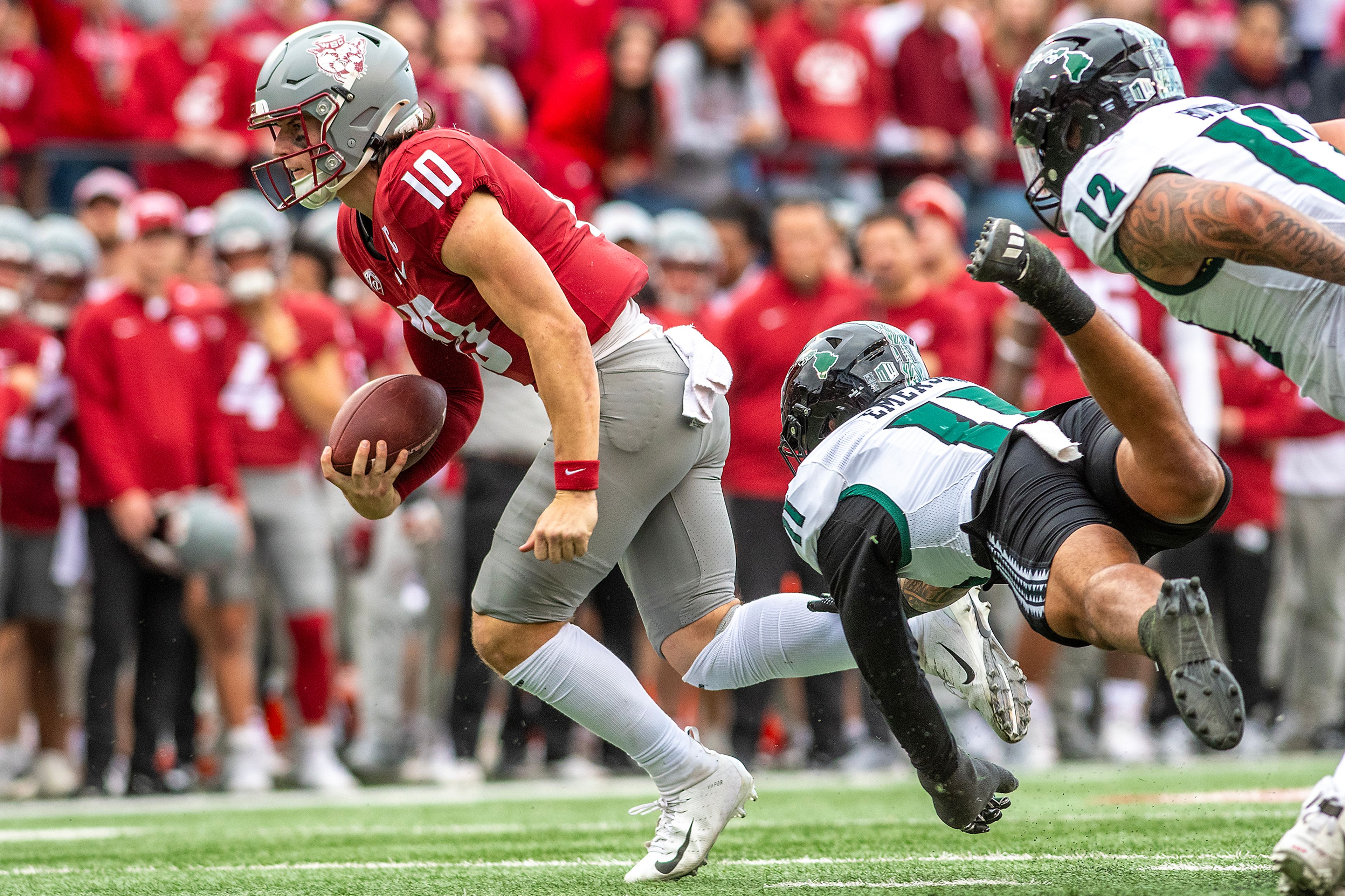 Washington State quarterback John Mateer avoids a tackle from Hawaii linebacker Nalu Emerson as he runs the ball in a college football game on Saturday at Gesa Field in Pullman. WSU defeated Hawaii 42-10.,