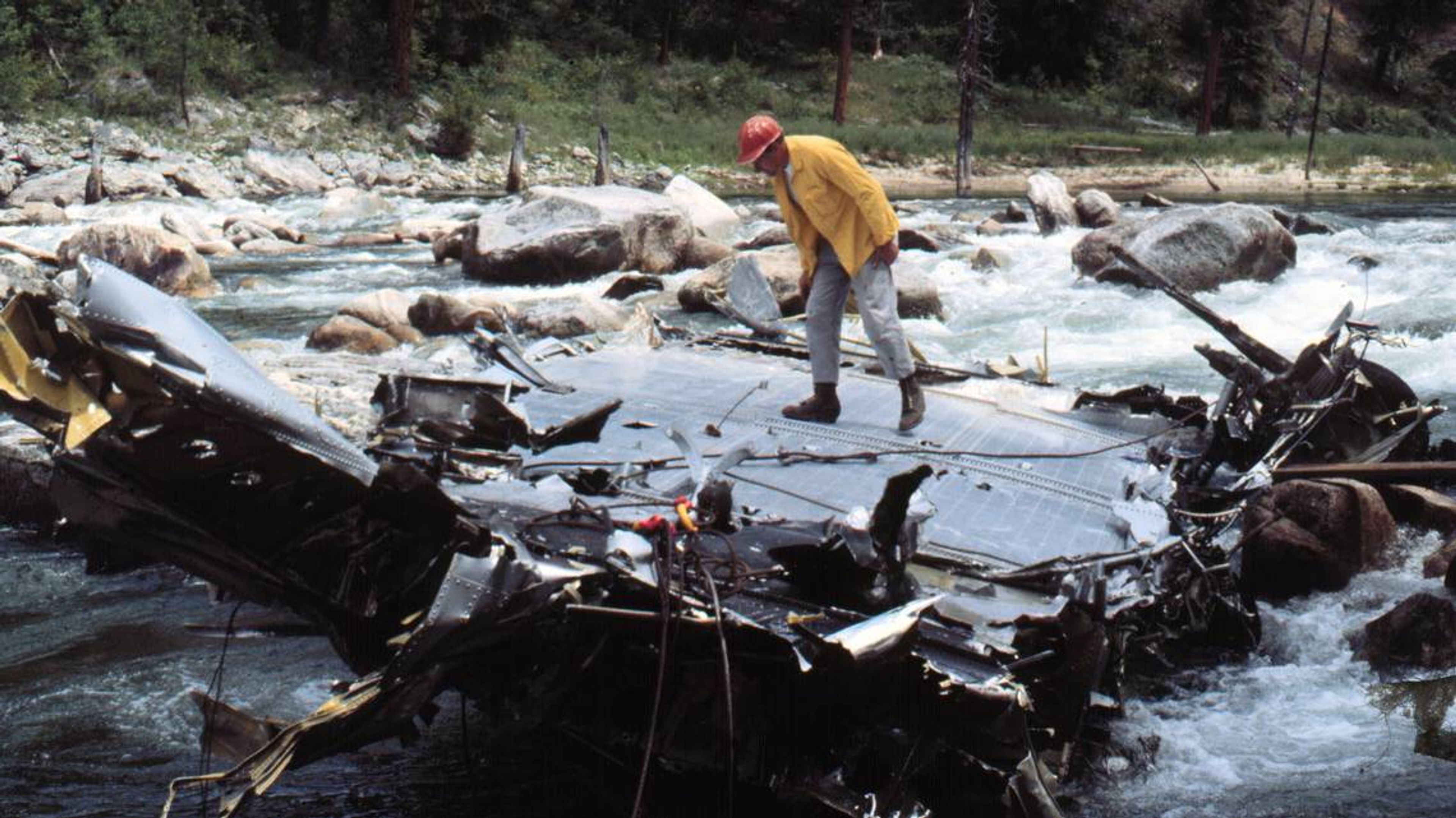 Surviving dogs and a backcountry rescue