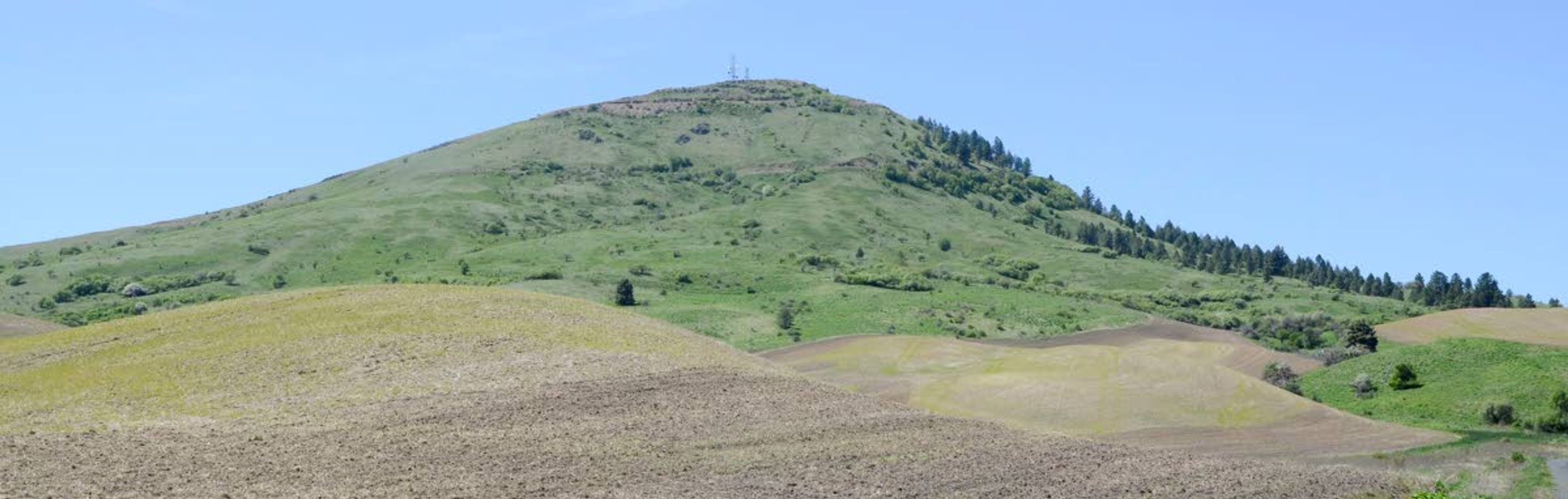 Steptoe Butte is a prominent landmark in Whitman County. A portion of the Butte may be sold to the Washington Department of Natural Resources and preserved for its ecological and botanical resources.