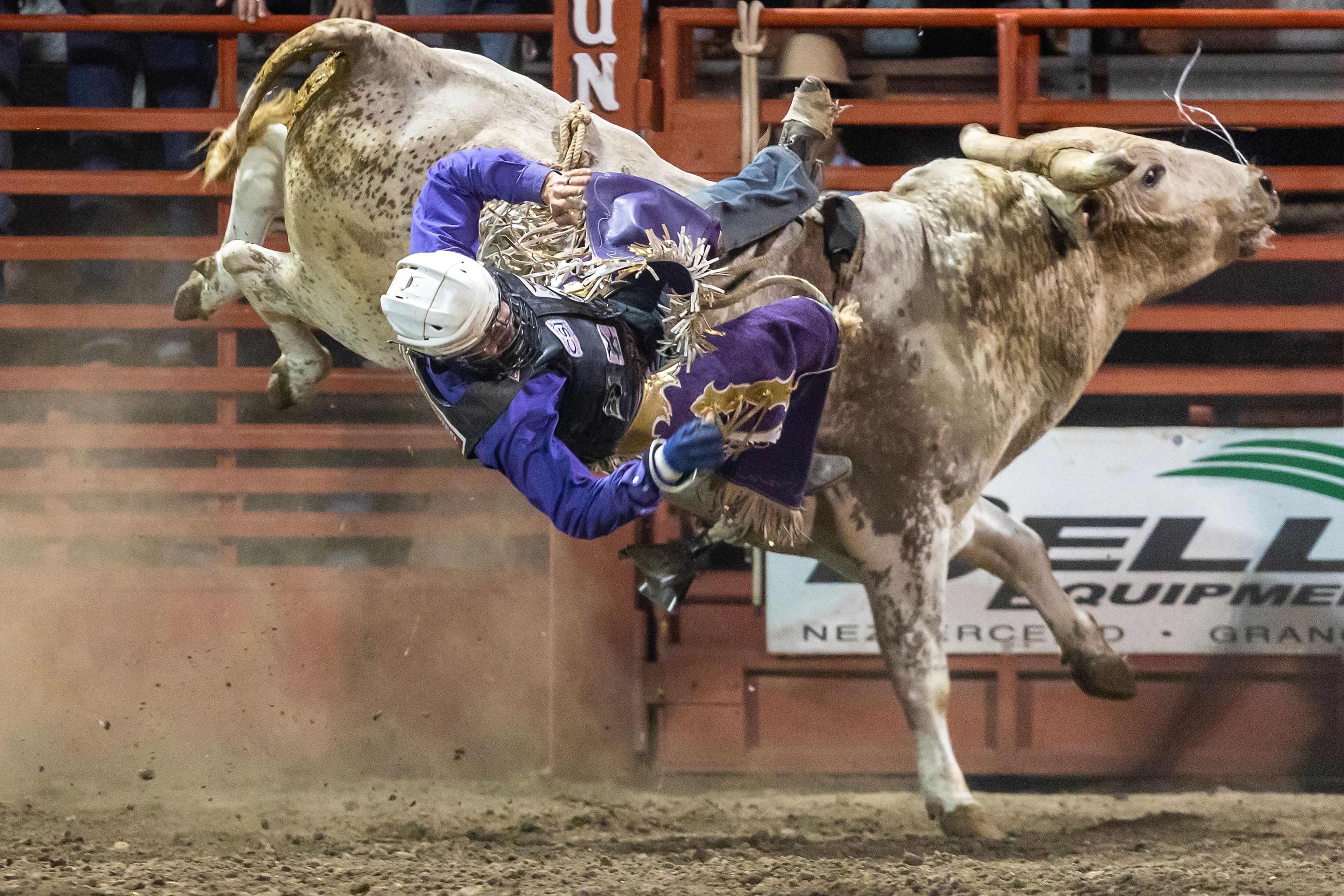 Shane Proctor is thrown from Trucker Fee in the bull riding competition on night 3 Friday at the Lewiston Roundup.