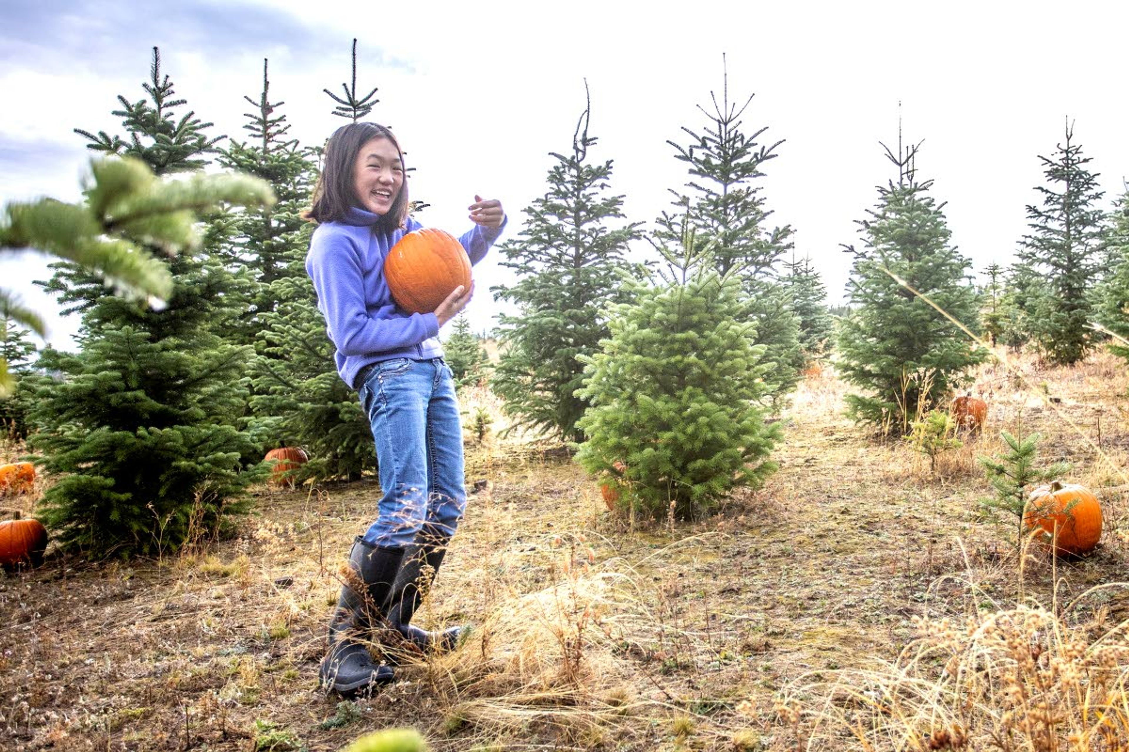 Luci Bass, 8, holds the pumpkin she picked out from among the trees Saturday at the sixth annual Spring Valley Tree Farm Pumpkin Hunt outside Troy.