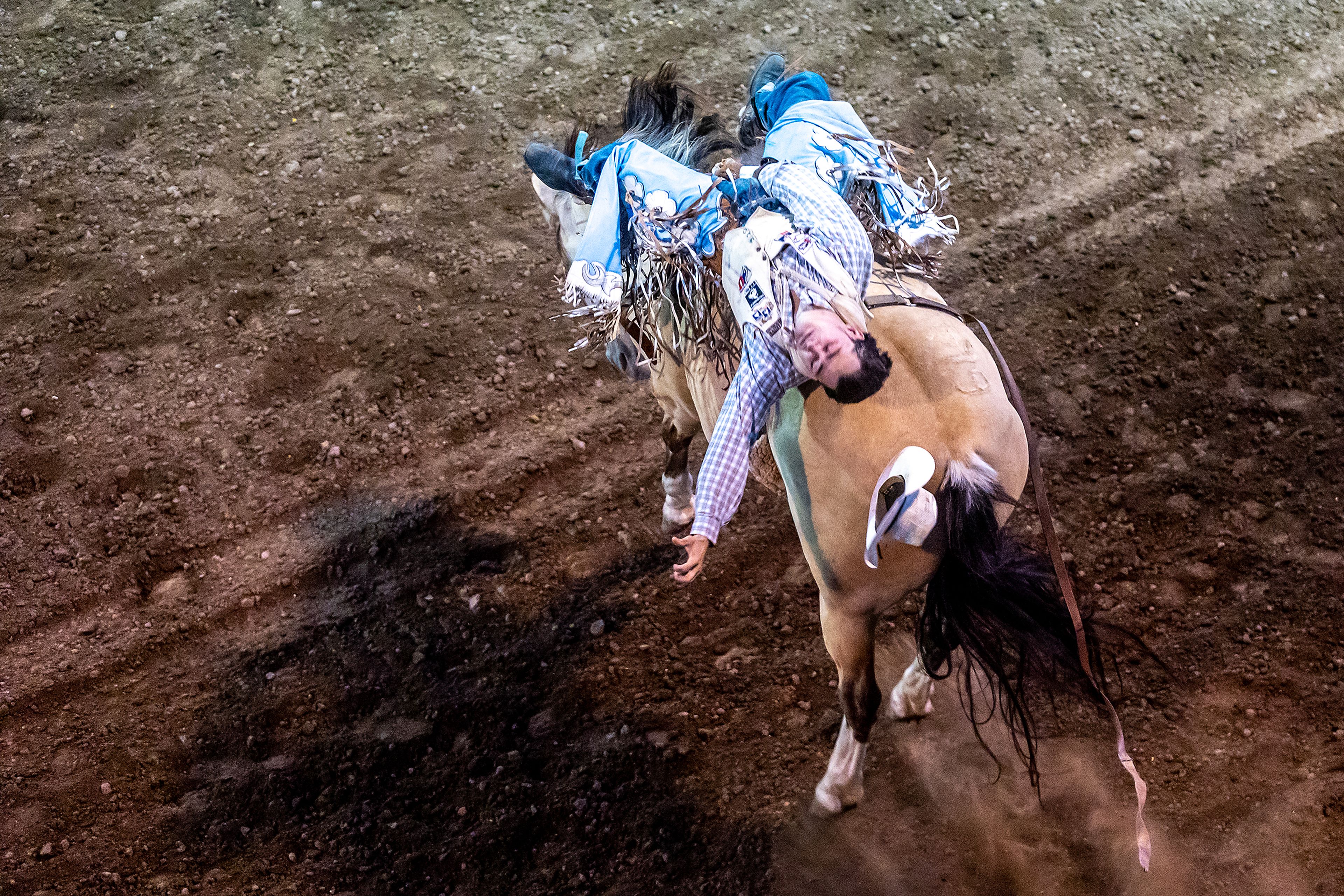 Lane McGehee rides Mustard in the bareback competition on night 3 Friday at the Lewiston Roundup.