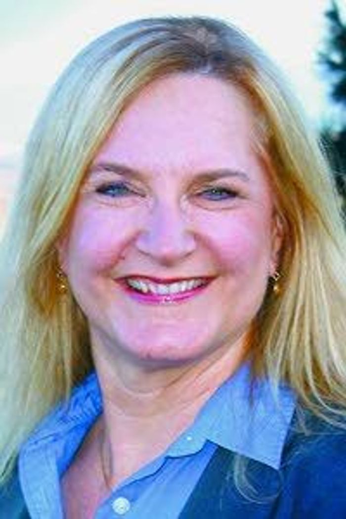 Freshmen lawmakers survive jump into the fire