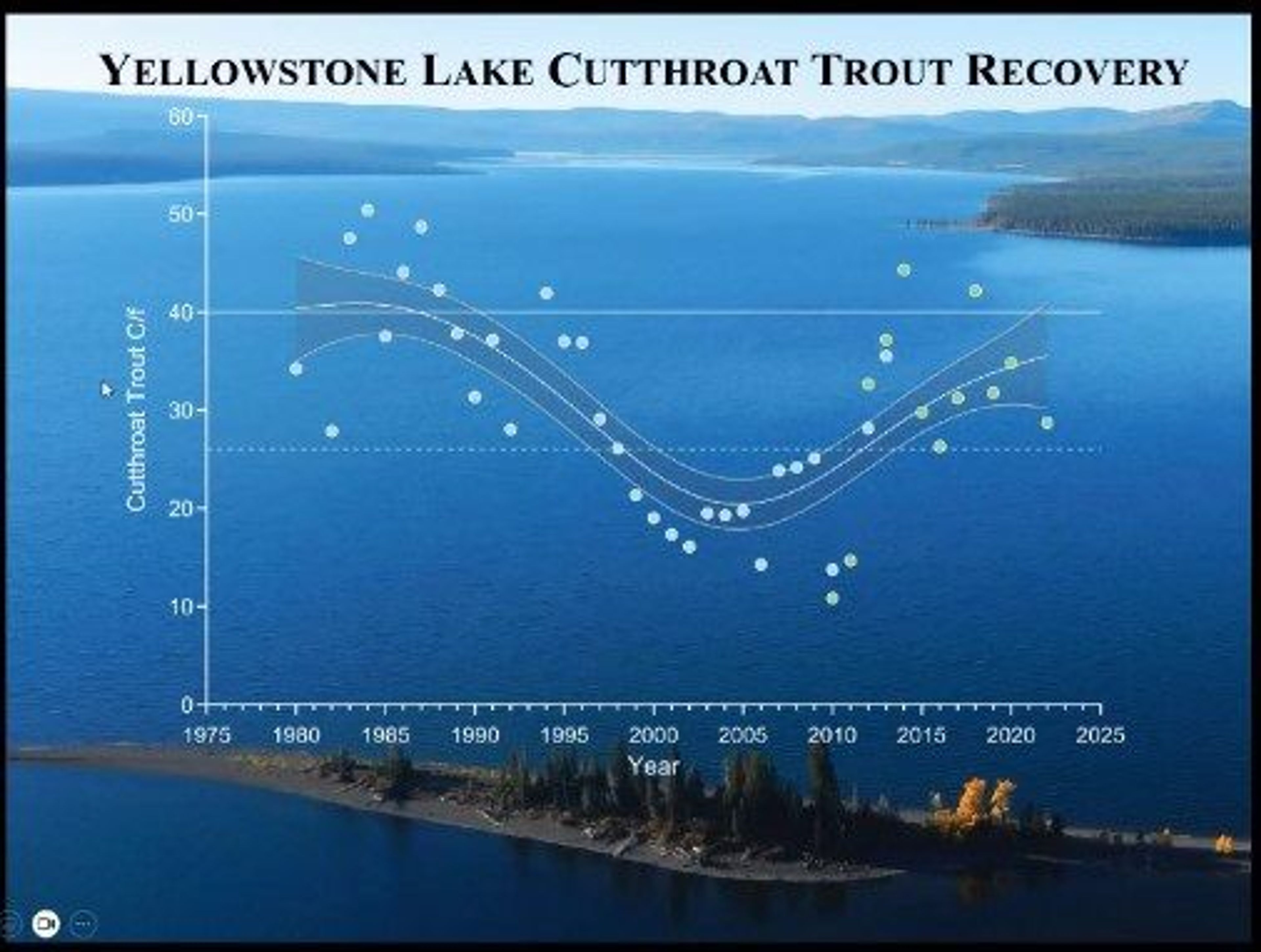 Yellowstone cutthroat trout numbers are on the rise in Yellowstone Lake thanks to a program targetting nonnative lake trout.