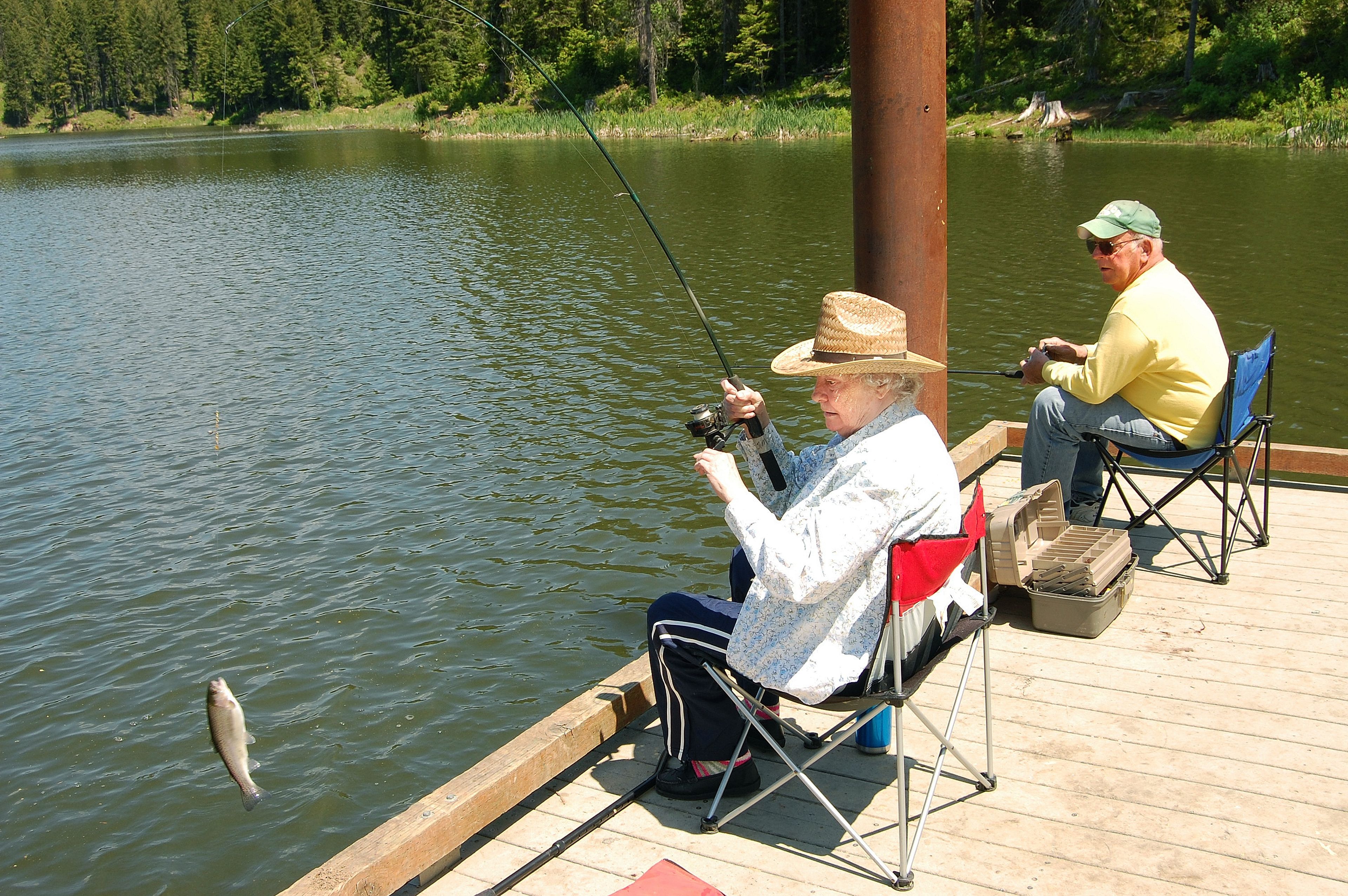 Joyce Wollam, of Orofino, pulls in a rainbow trout from Deer Creek Reservior near Pierce. The reservior offers easy access to fishing.