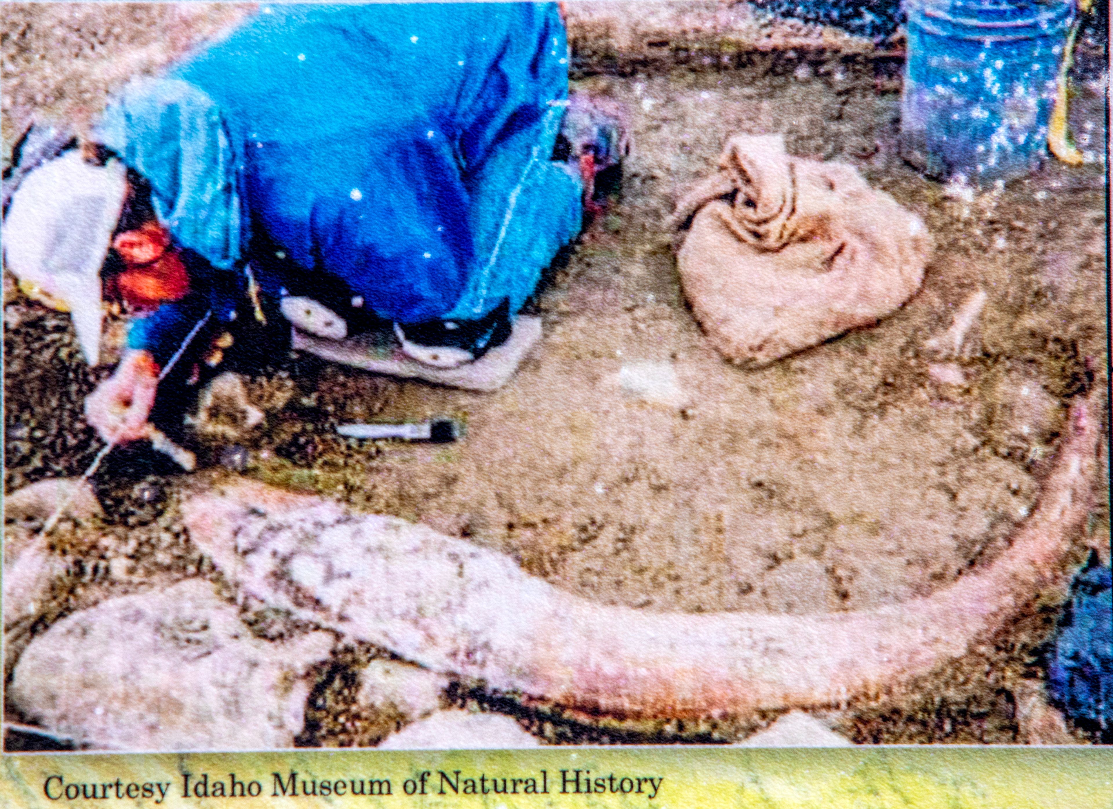 A picture on the information board at Tolo Lake shows paleontologists from the University of Idaho removing sediment that held mammoth bones encased for thousands of years.k