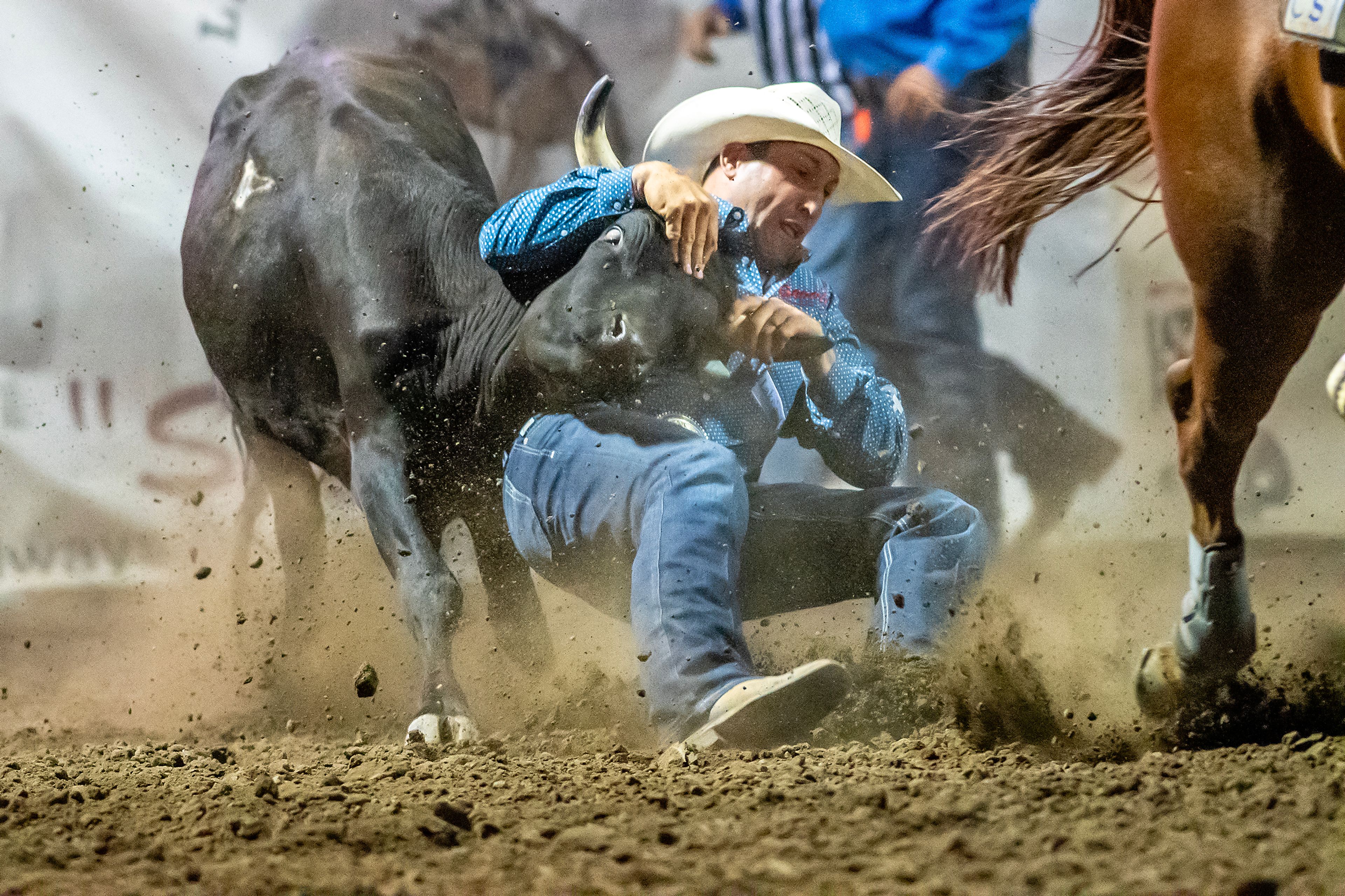 Scott Guenthner wrestles down a steer in the steer wrestling competition on day 2 of the Lewiston Roundup.