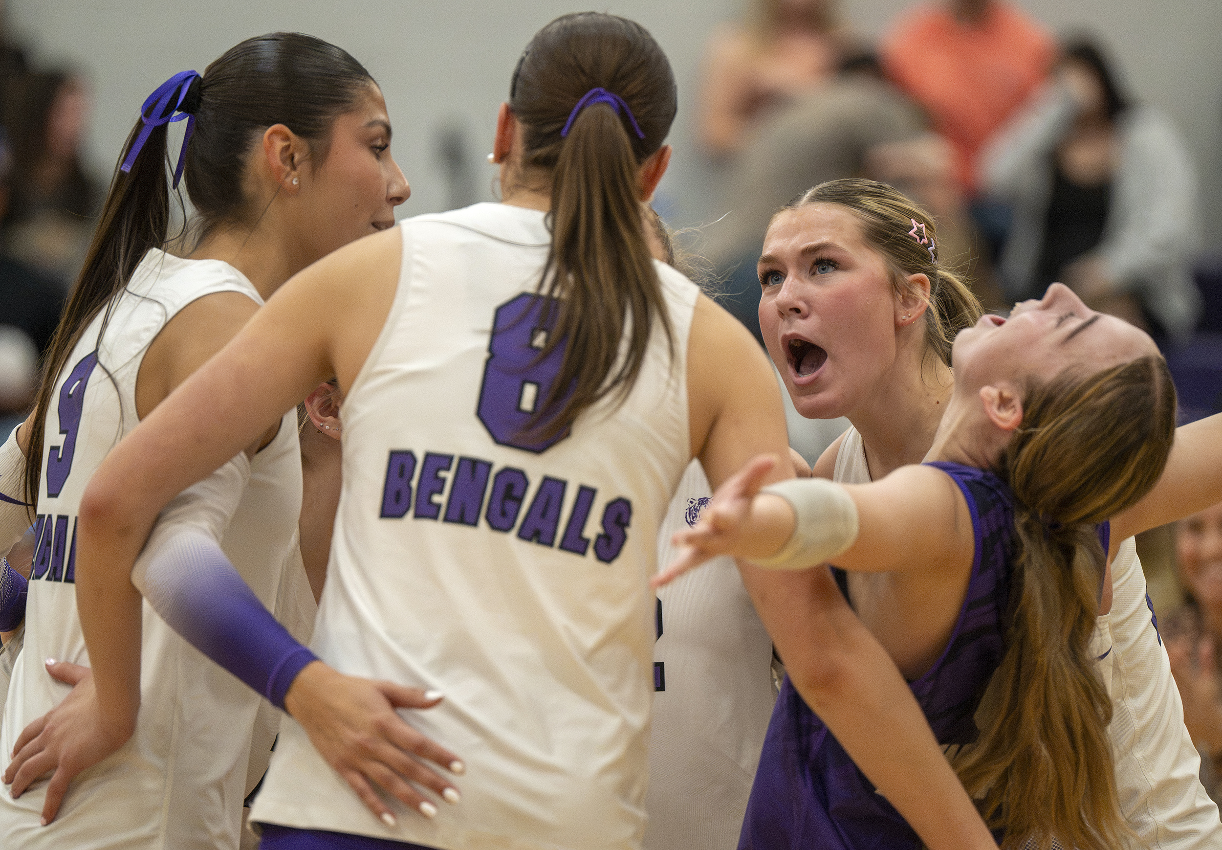 Bengals still alive for state title