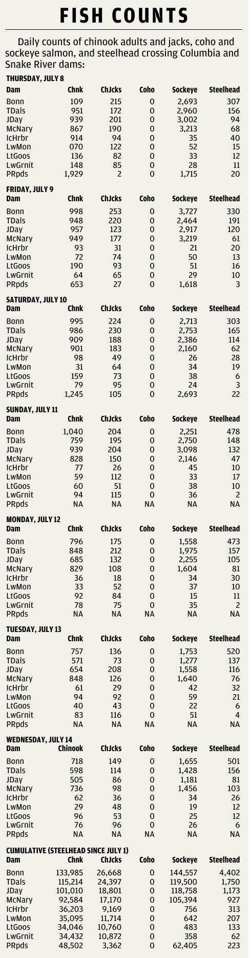 Fish counts 0716